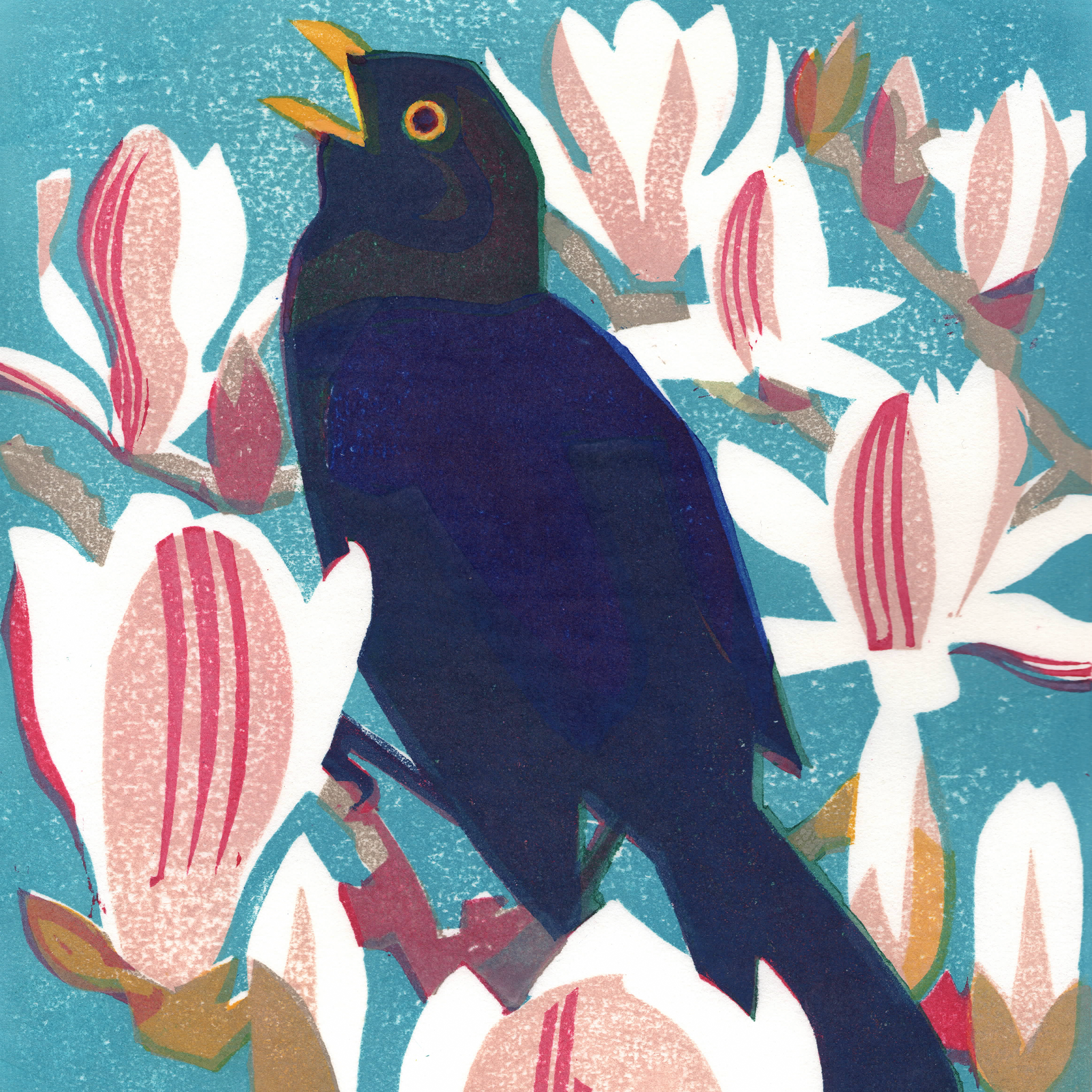 Matt Underwood