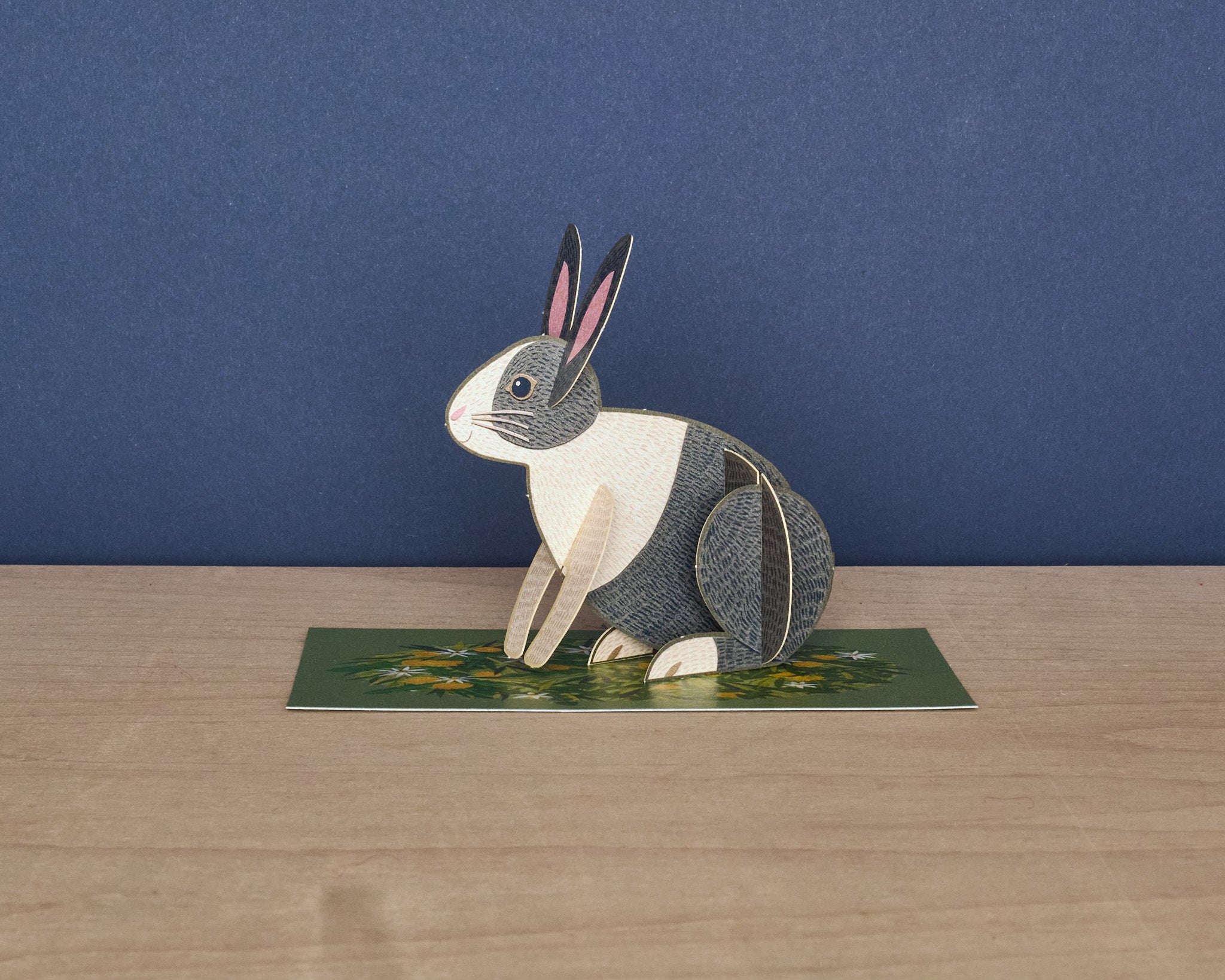 Pop-Out Rabbit