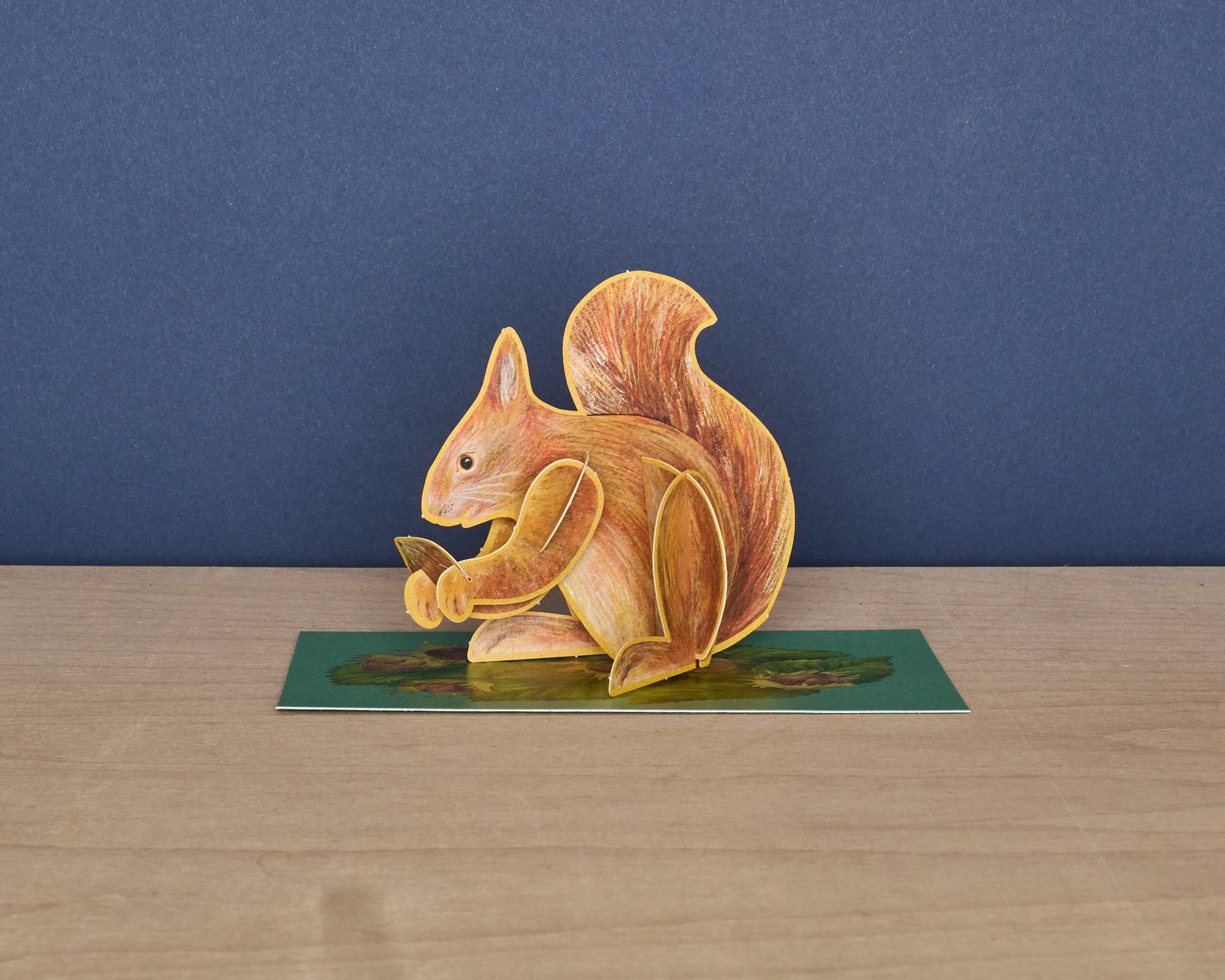 Pop-Out Red Squirrel