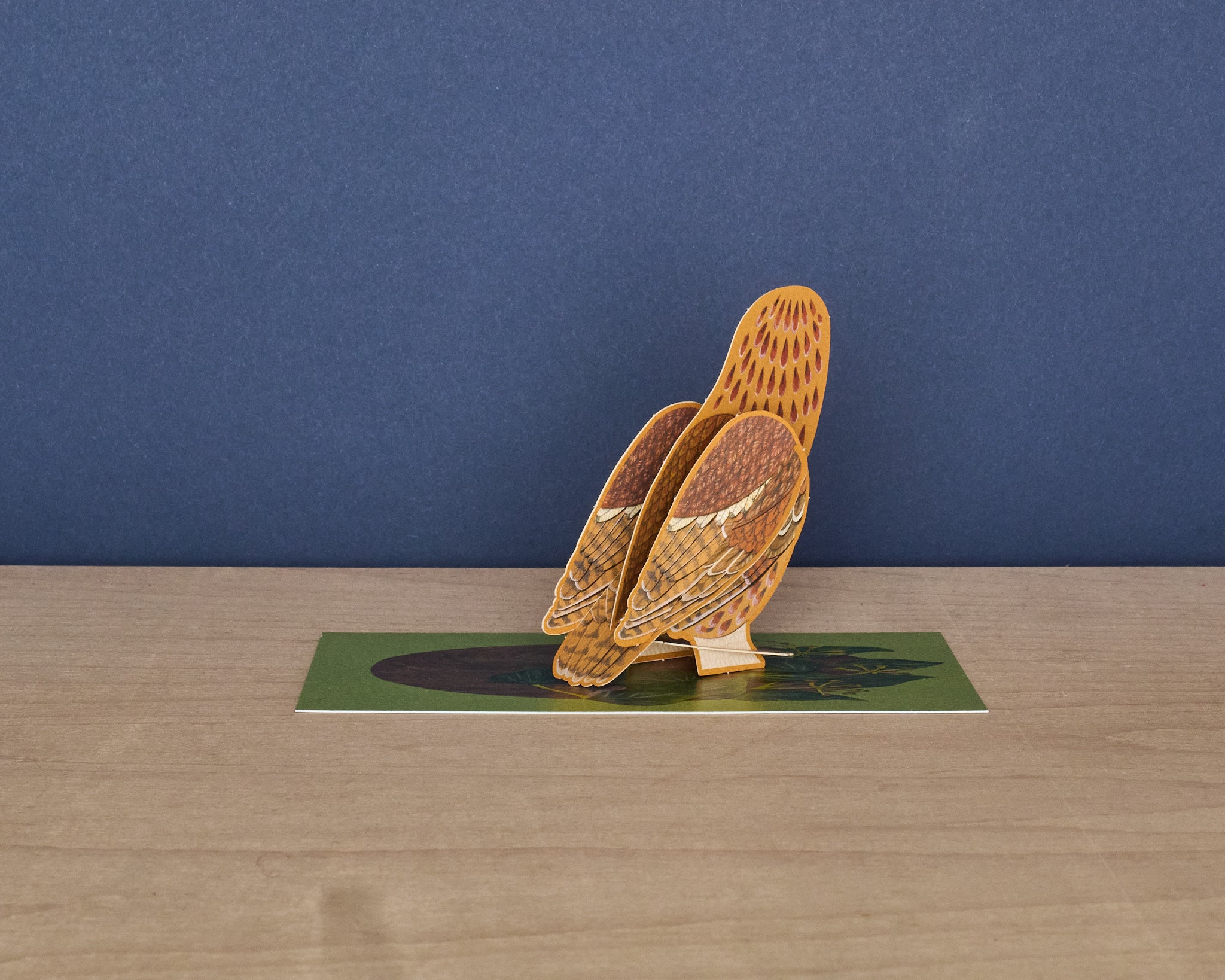 Pop-Out Tawny Owl