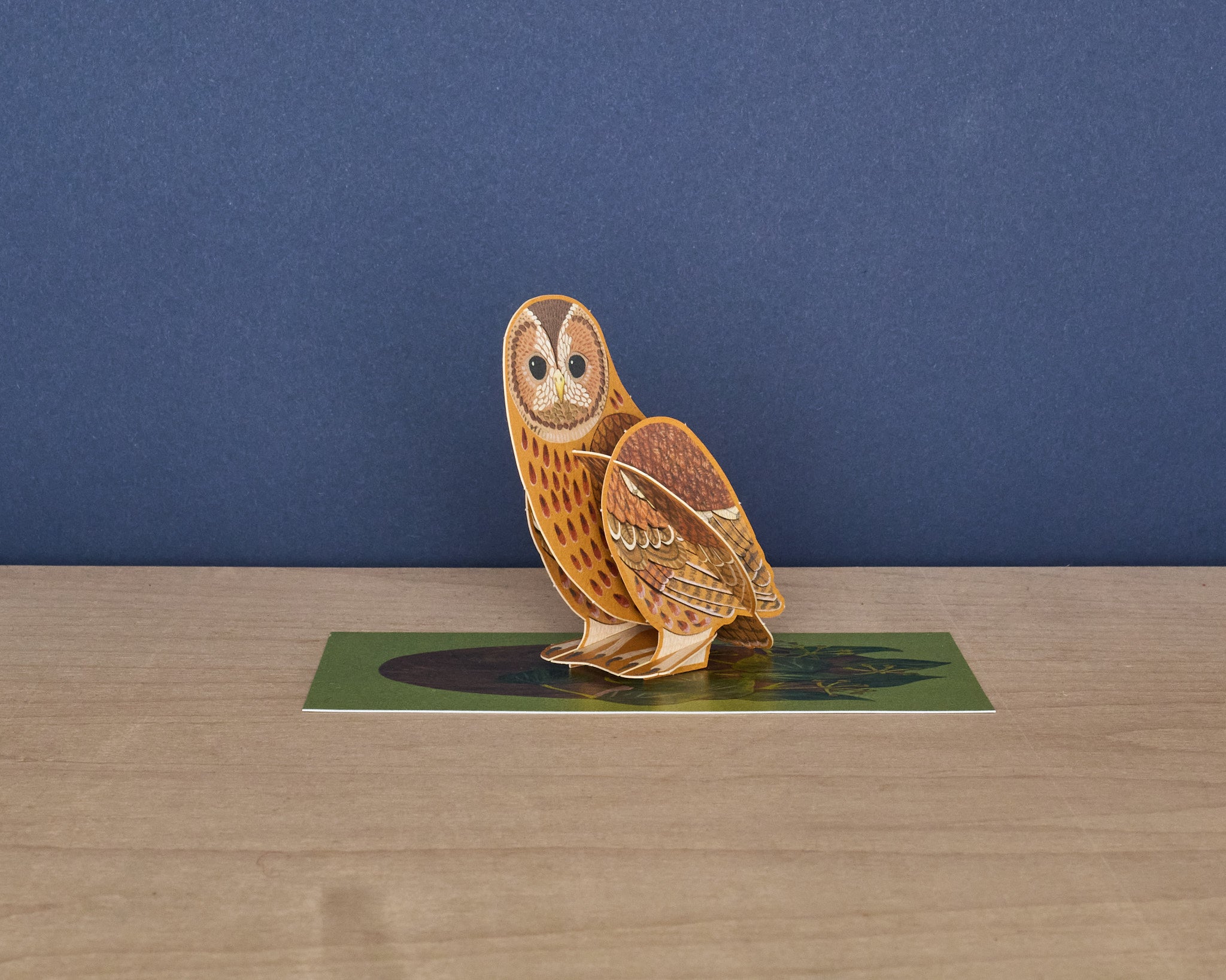 Pop-Out Tawny Owl