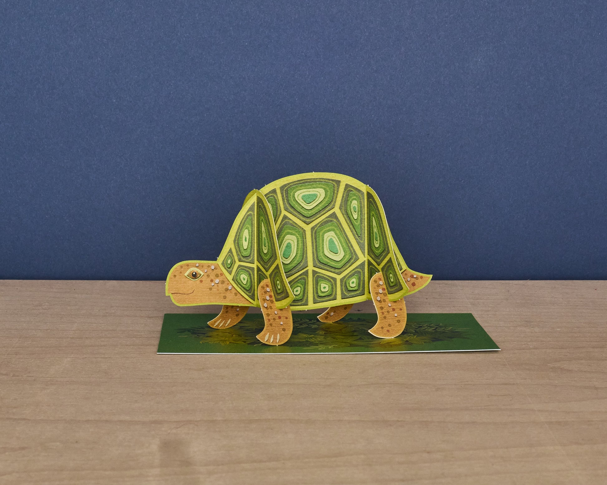 Pop-Out Tortoise