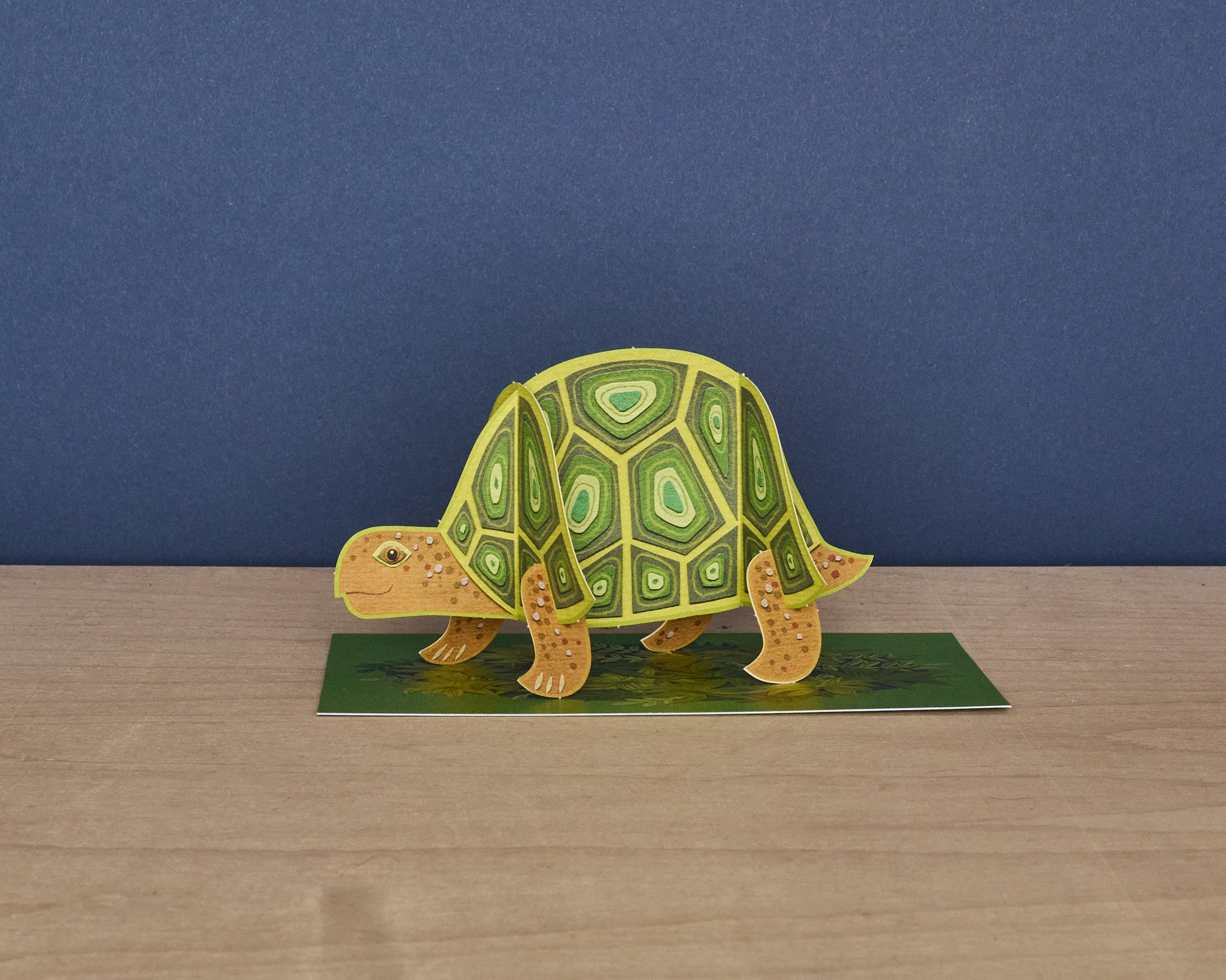 Pop-Out Tortoise