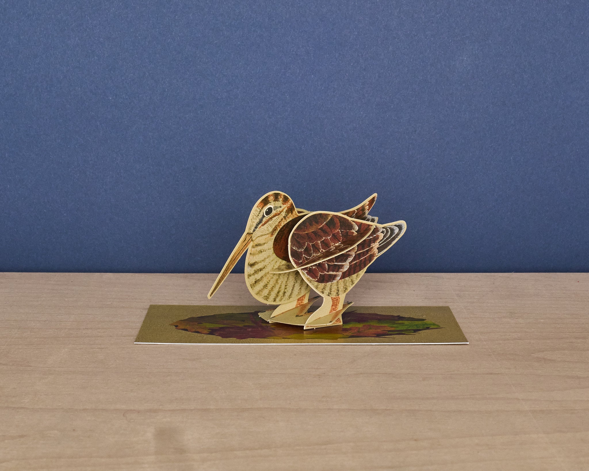 Pop-Out Woodcock