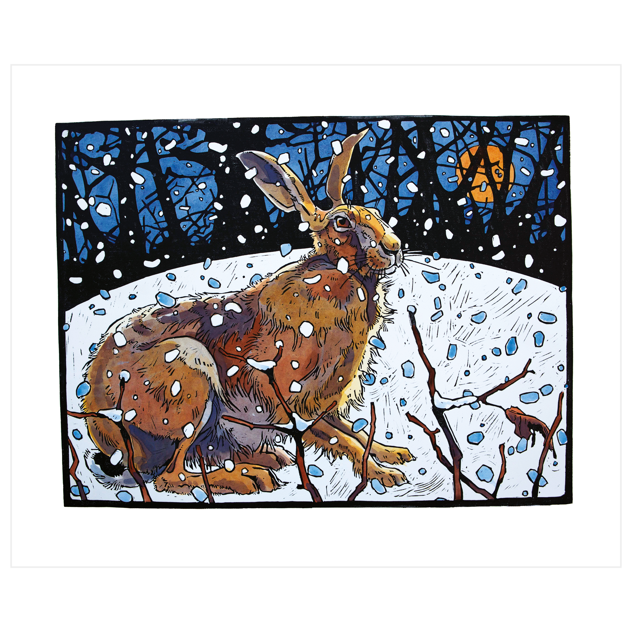 Winter Hare