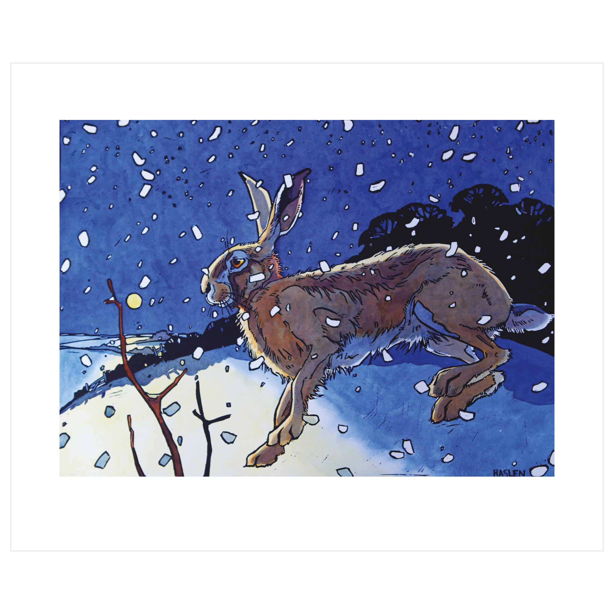 Winter Hare
