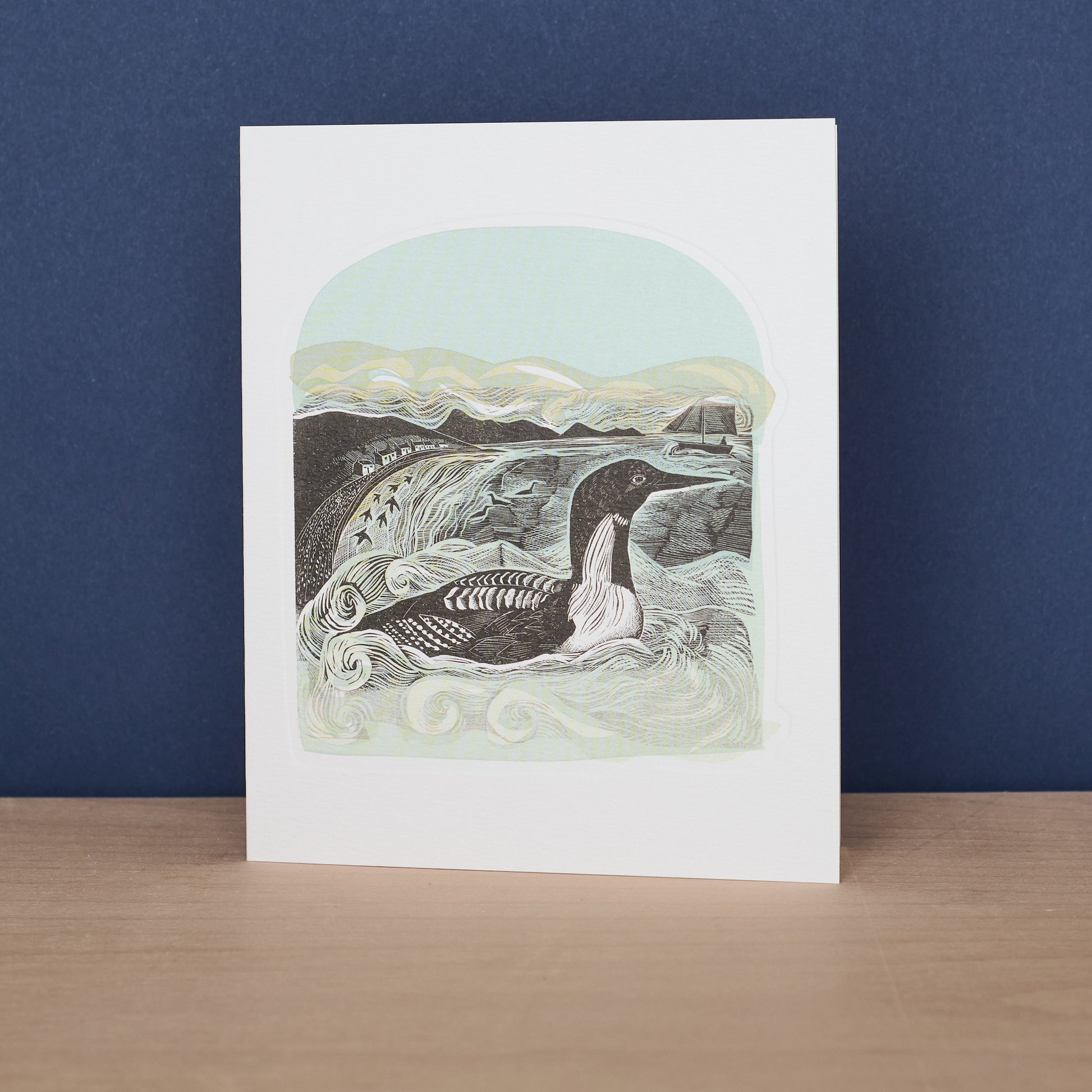 Black Throated Diver