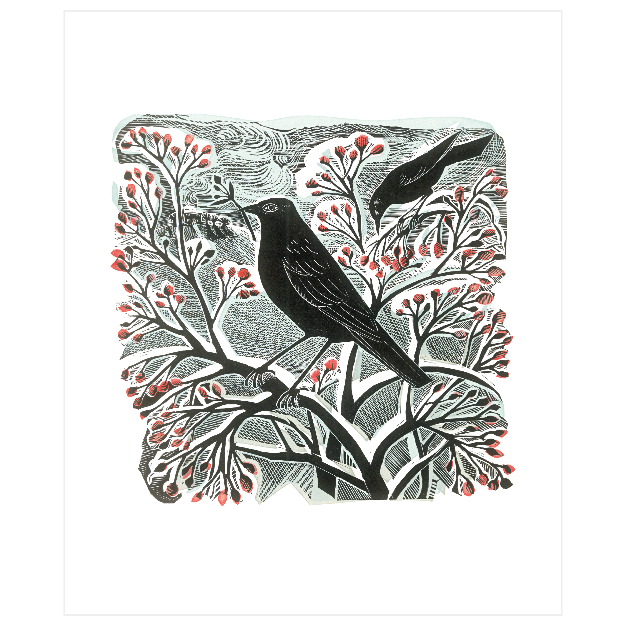 Blackbird & Berries