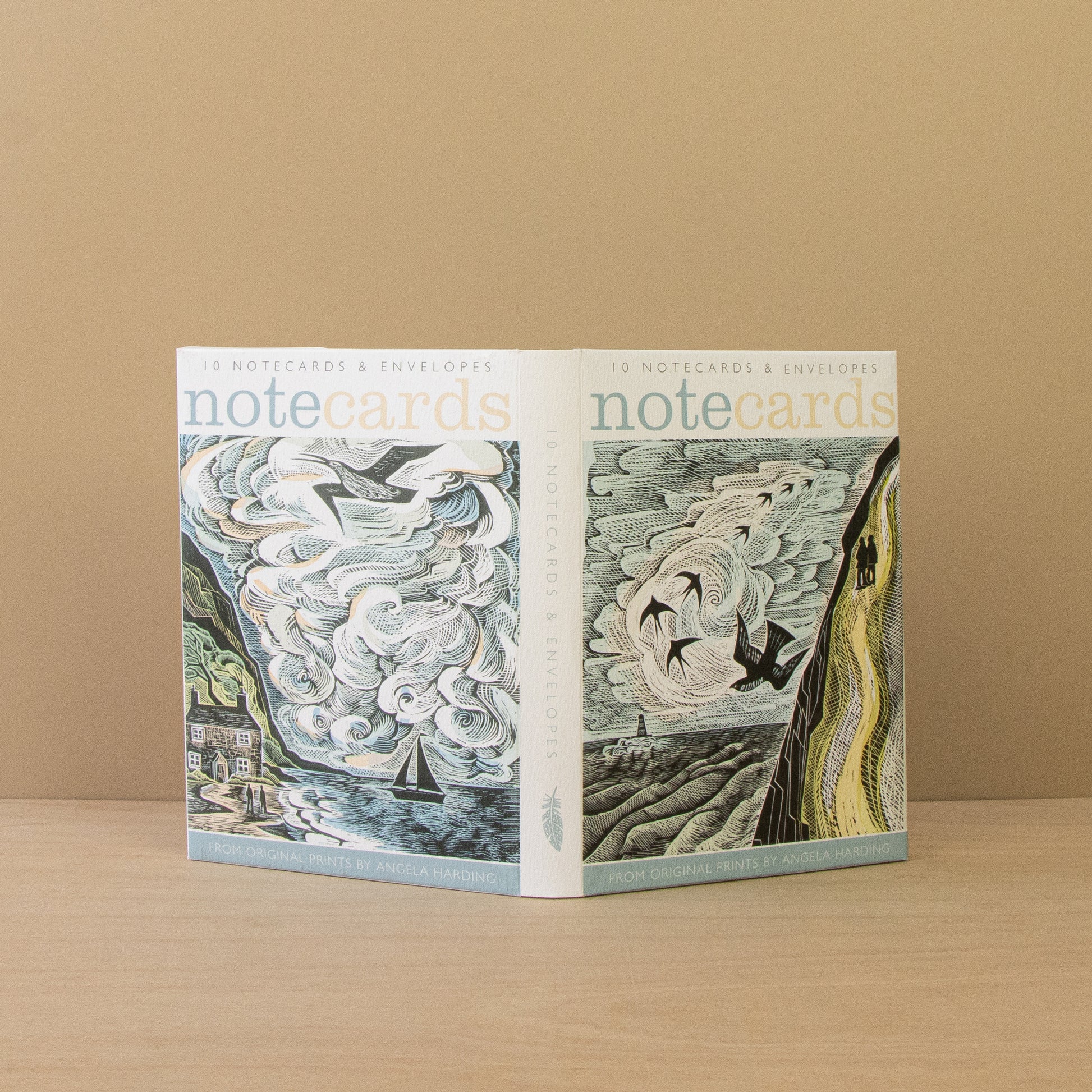 Cornish Path & The Wild Silence