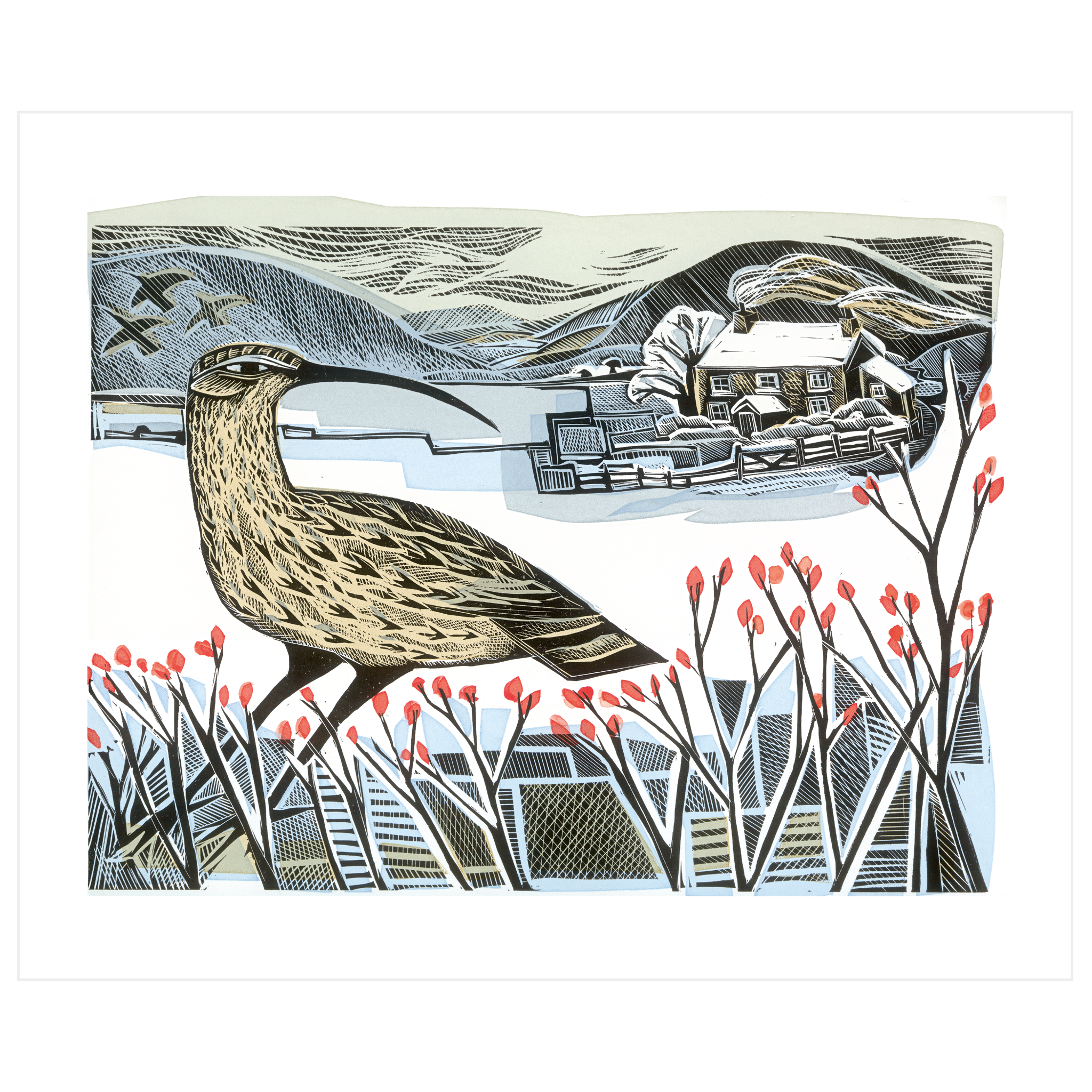 Curlew Christmas