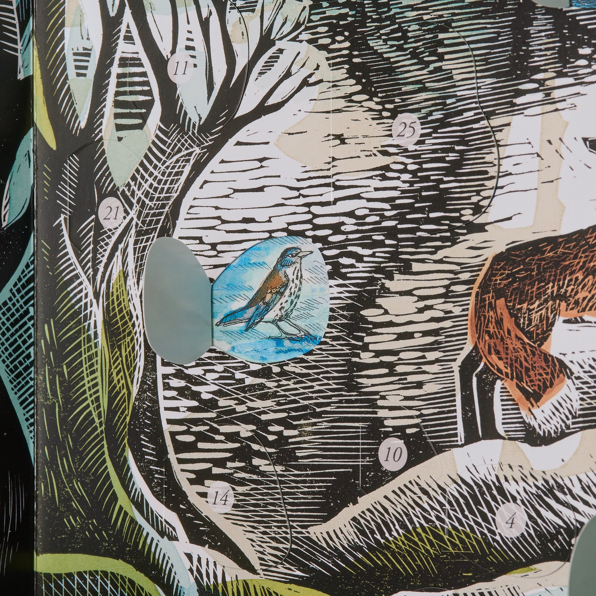 Midnight Fox Advent Calendar