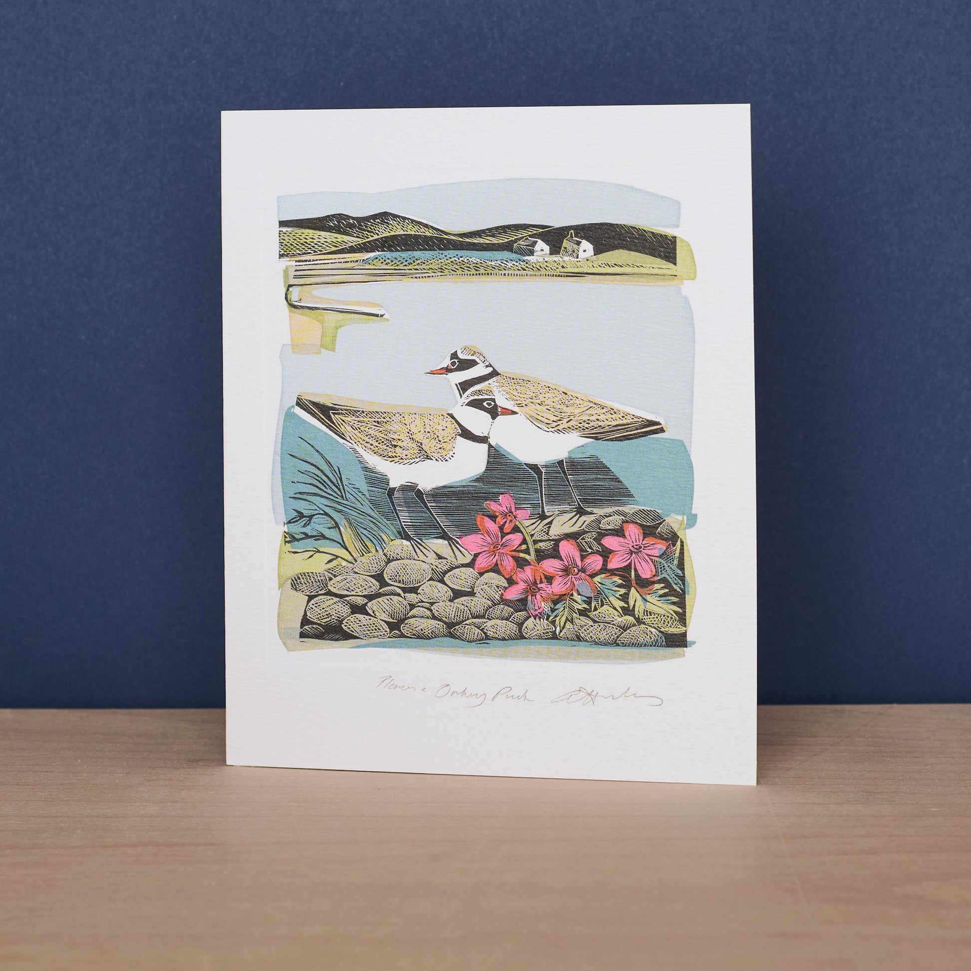 Plovers & Orkney Pinks