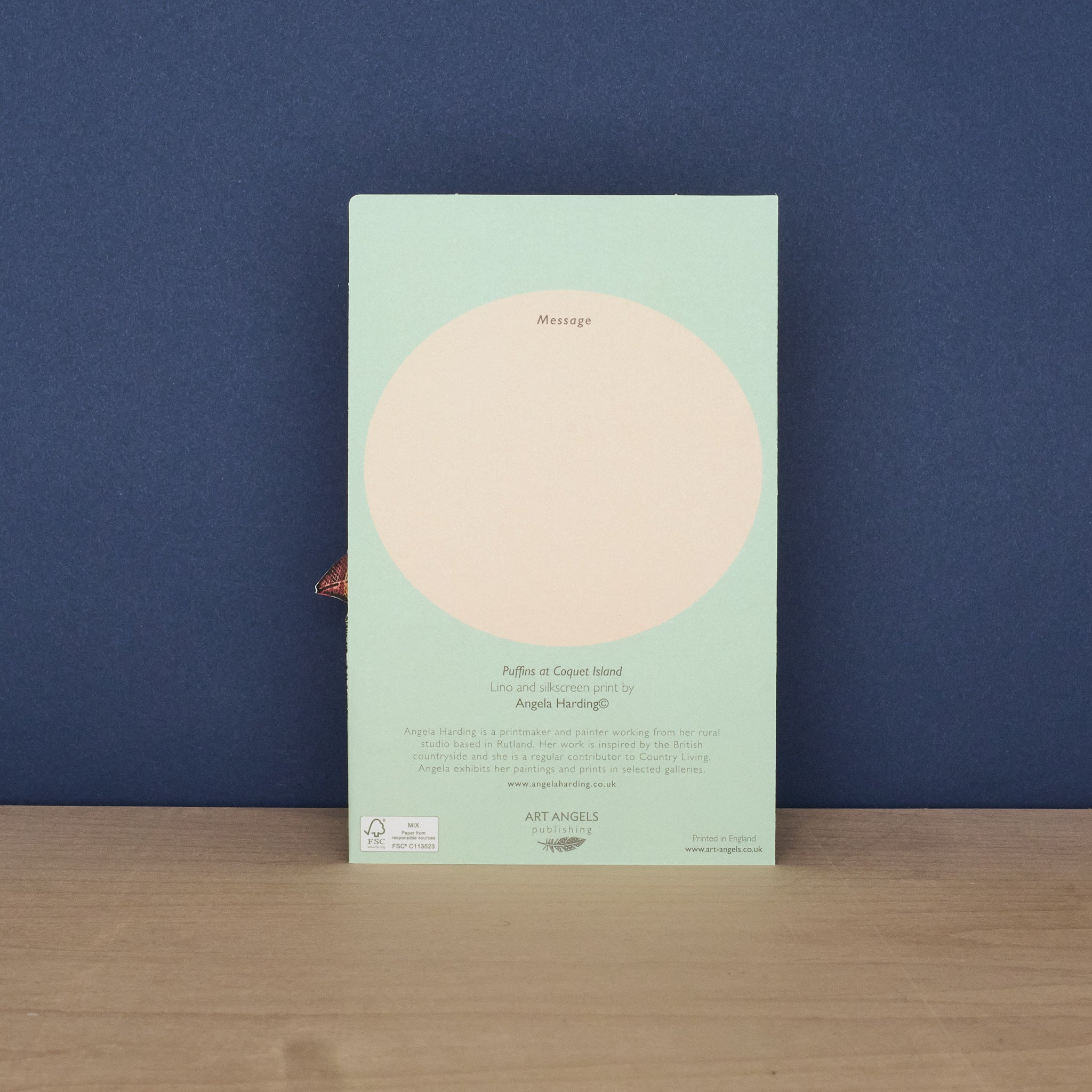 Puffins At Coquet Island