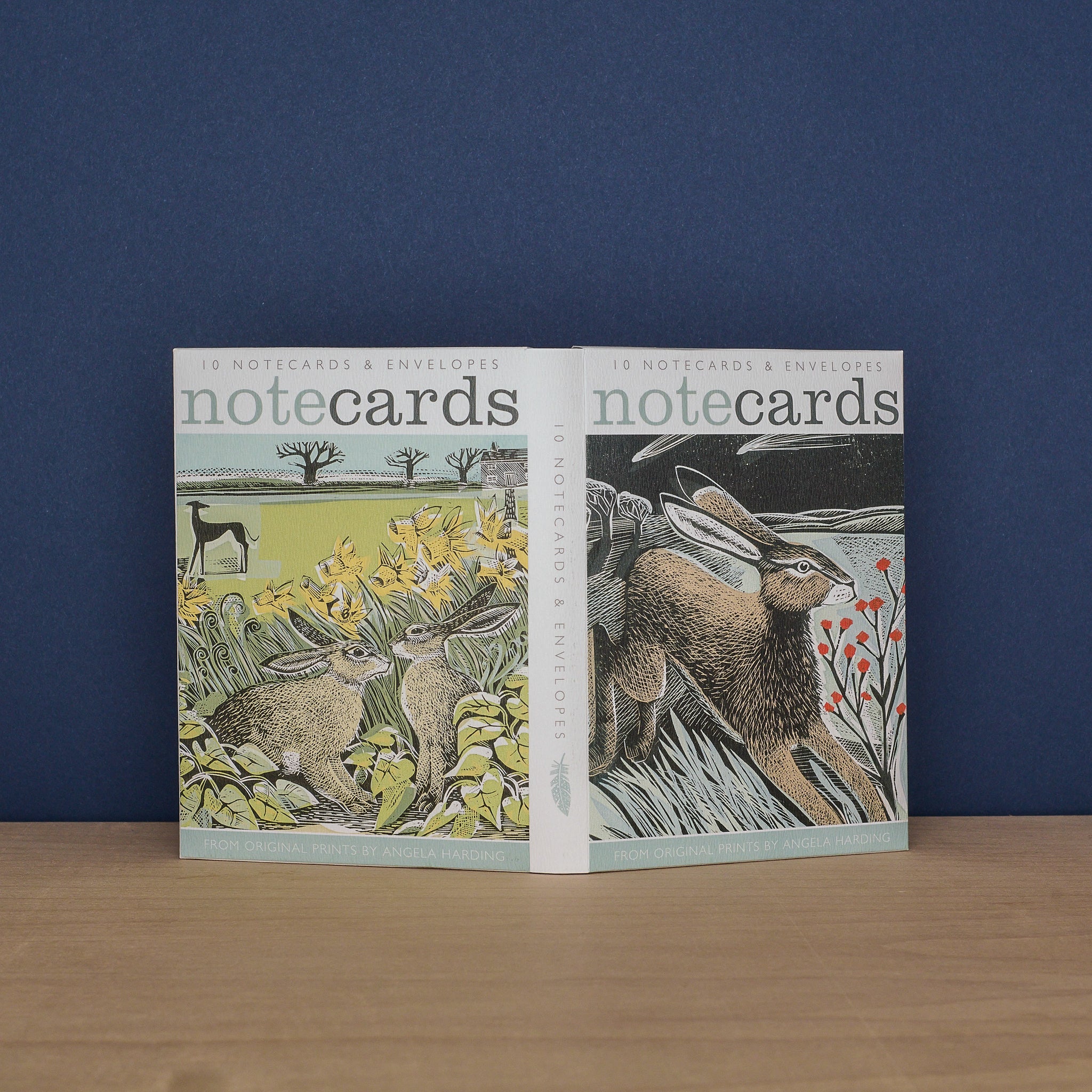 Shooting Stars and Look Out!