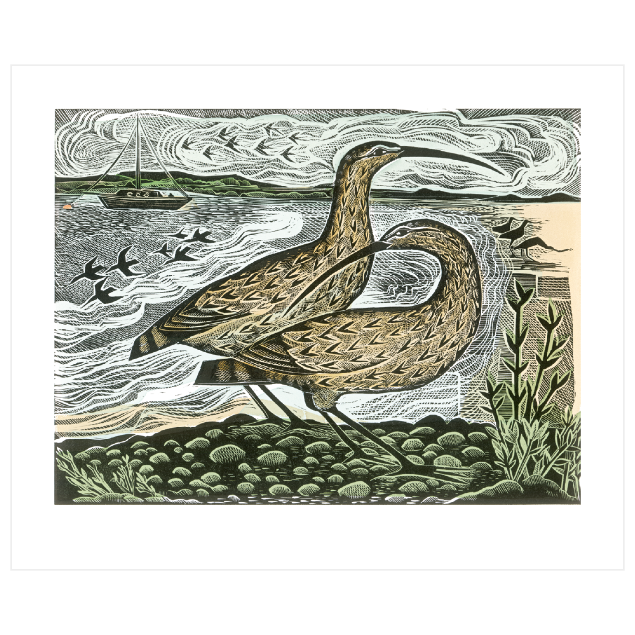 Two Curlews On The Deben