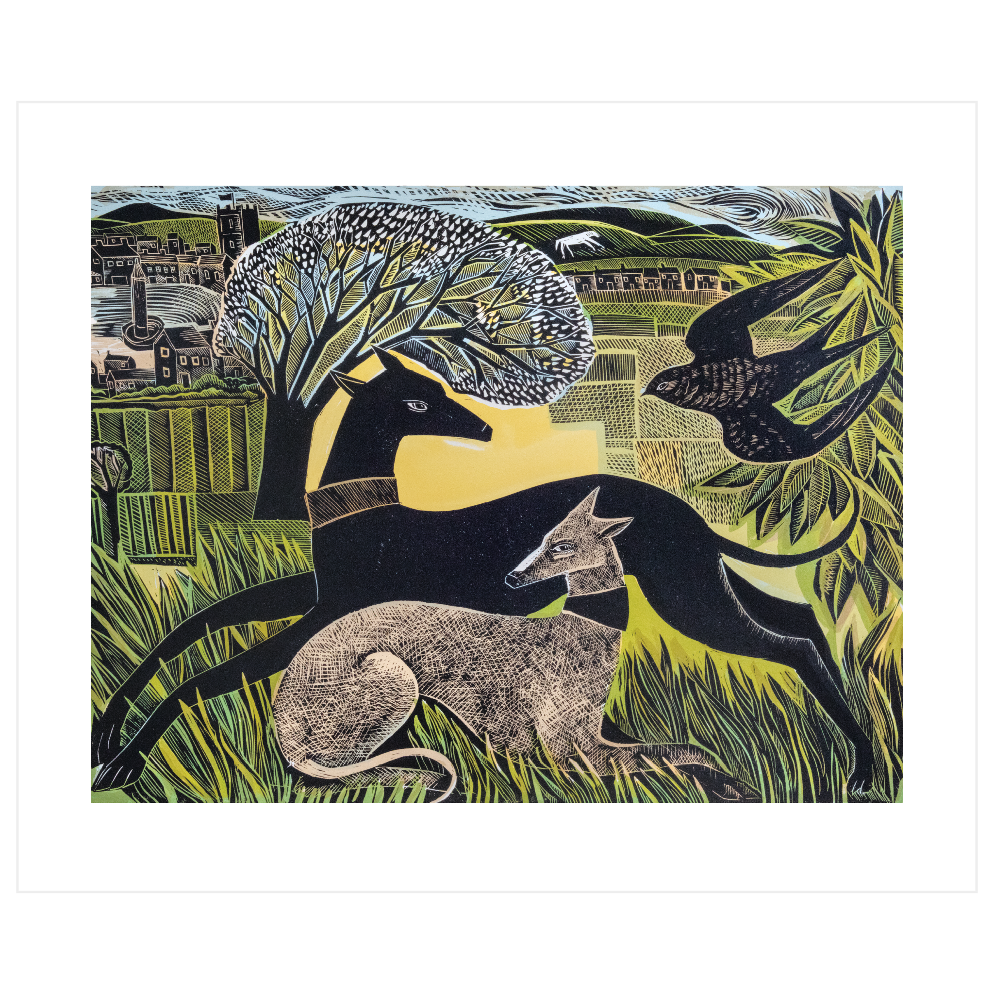 Two Yorkshire Whippets