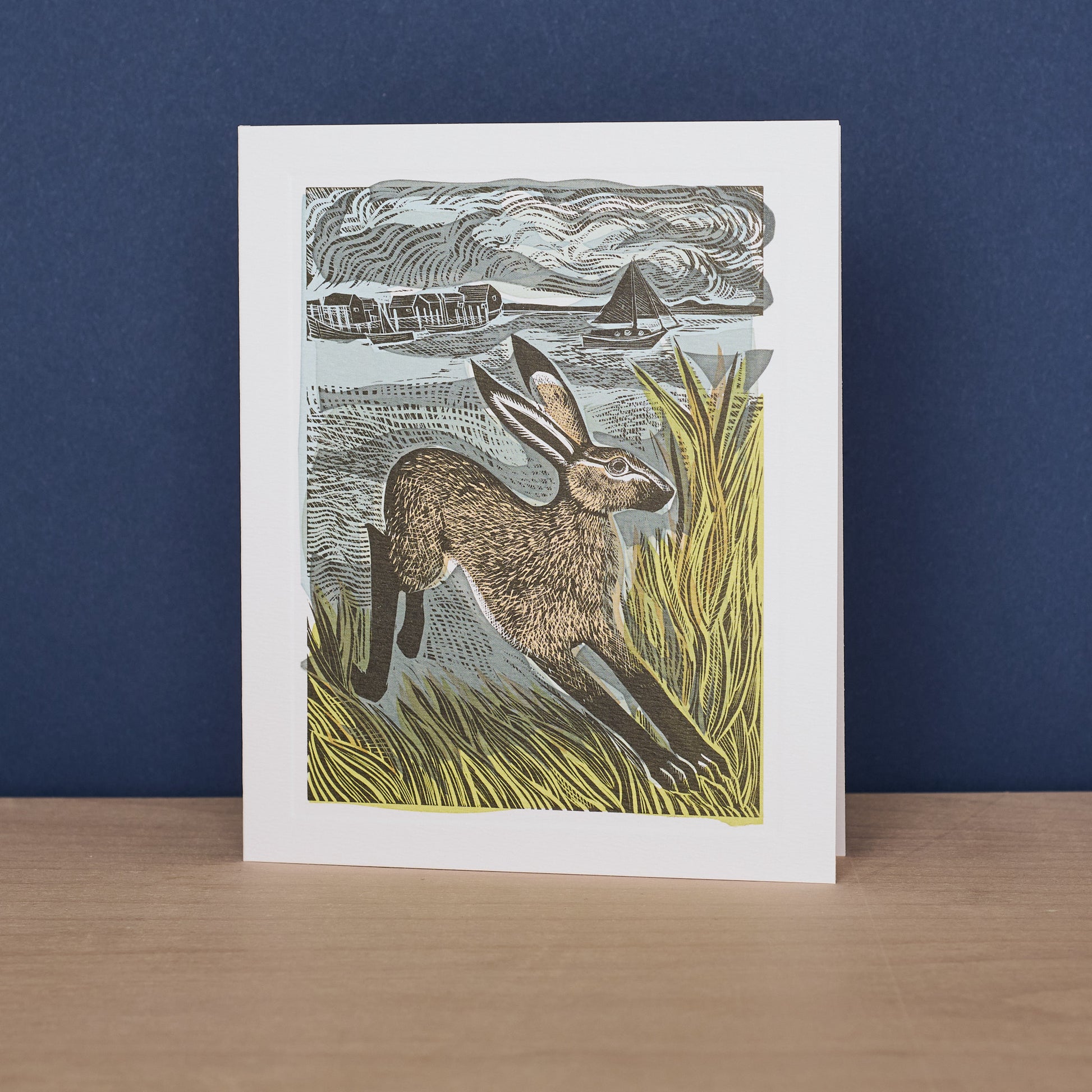 Young Hare