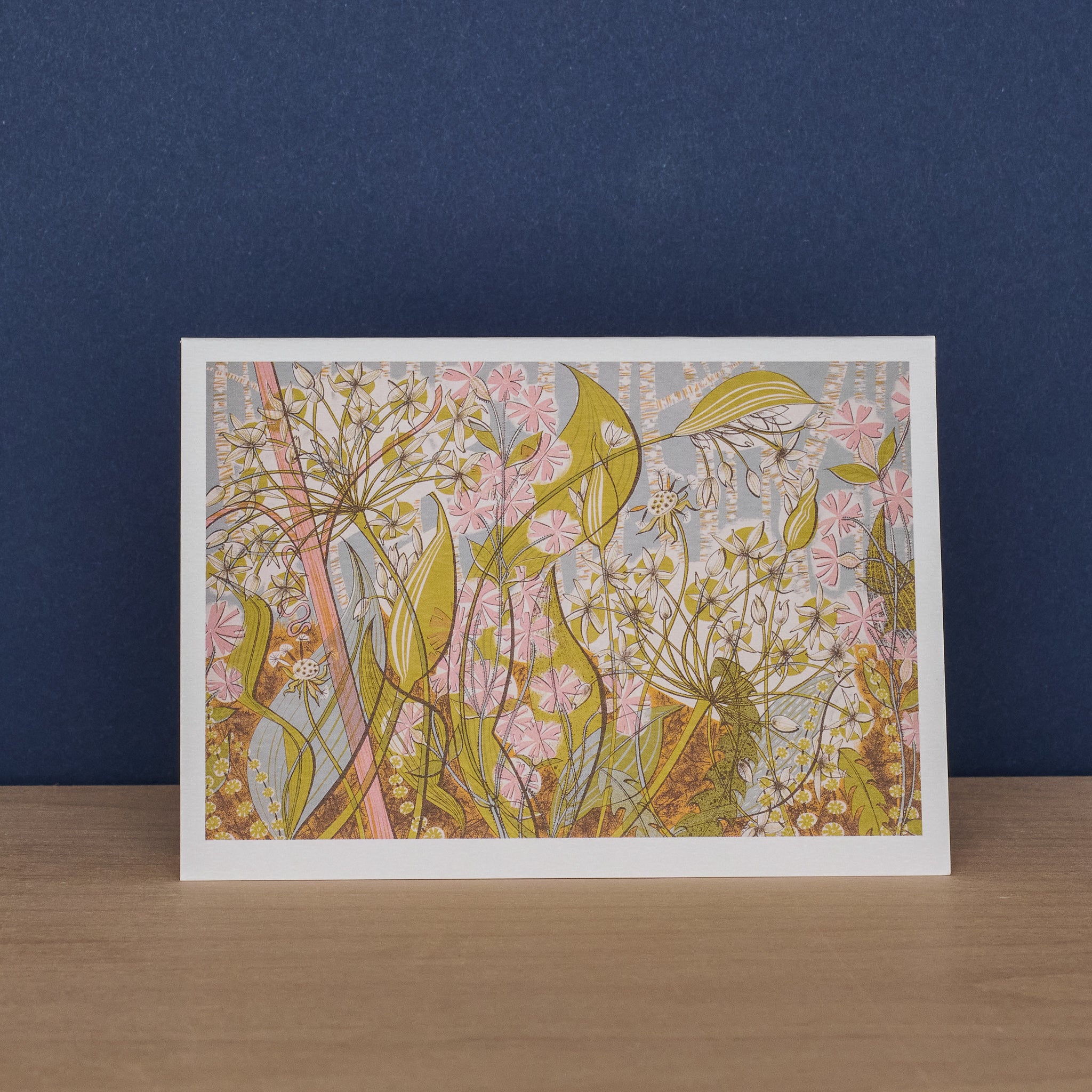 Agapanthus II and Ramsons