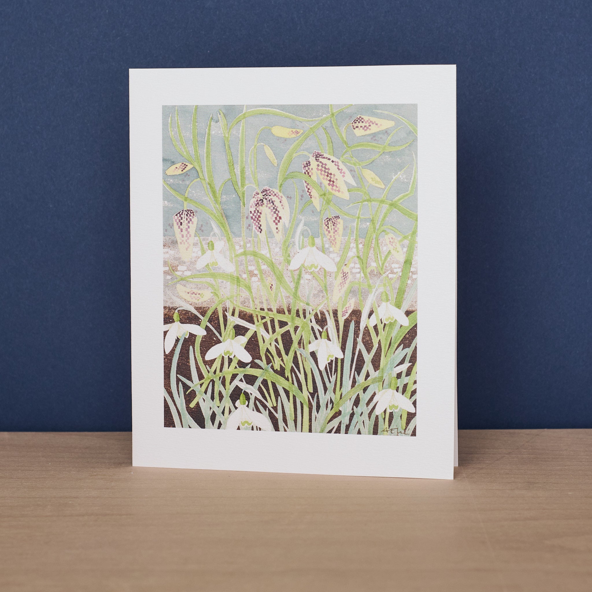 Fritillaries and Snowdrops