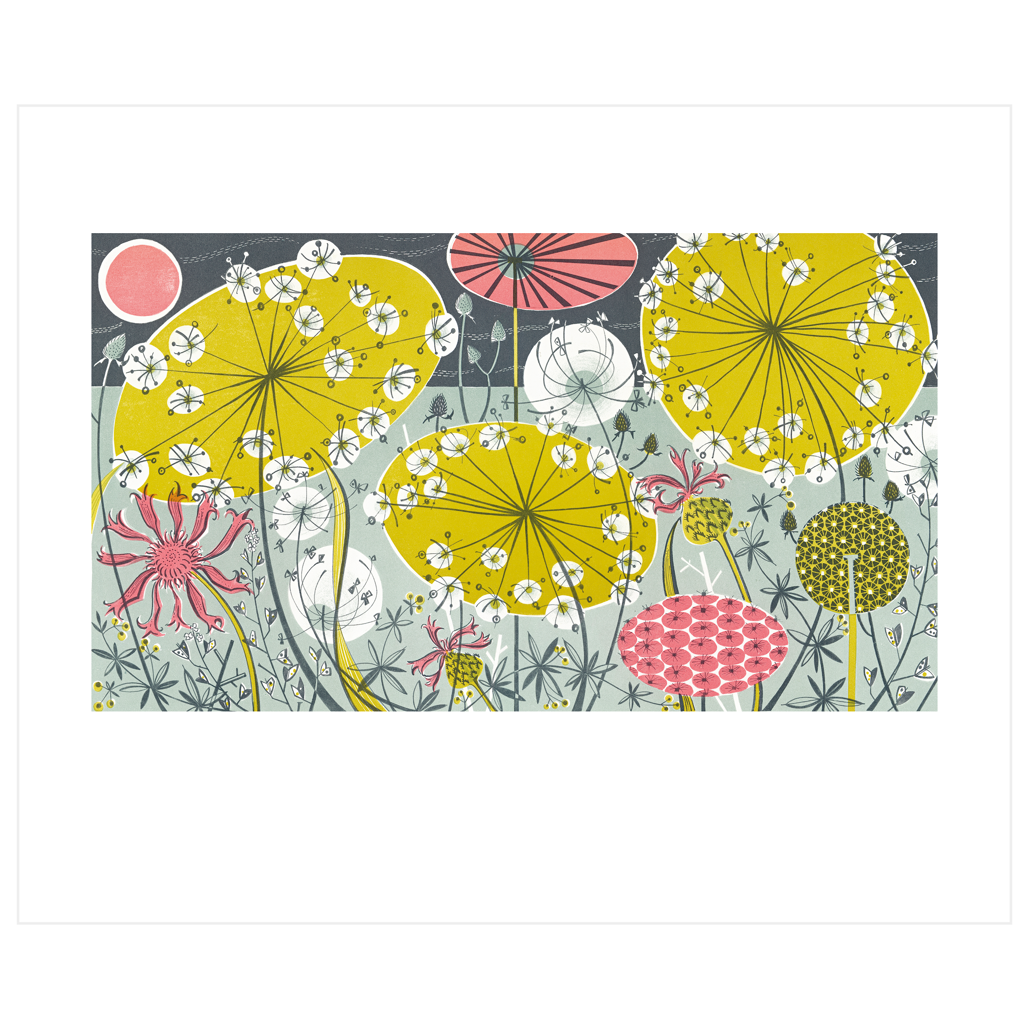 Meadow II