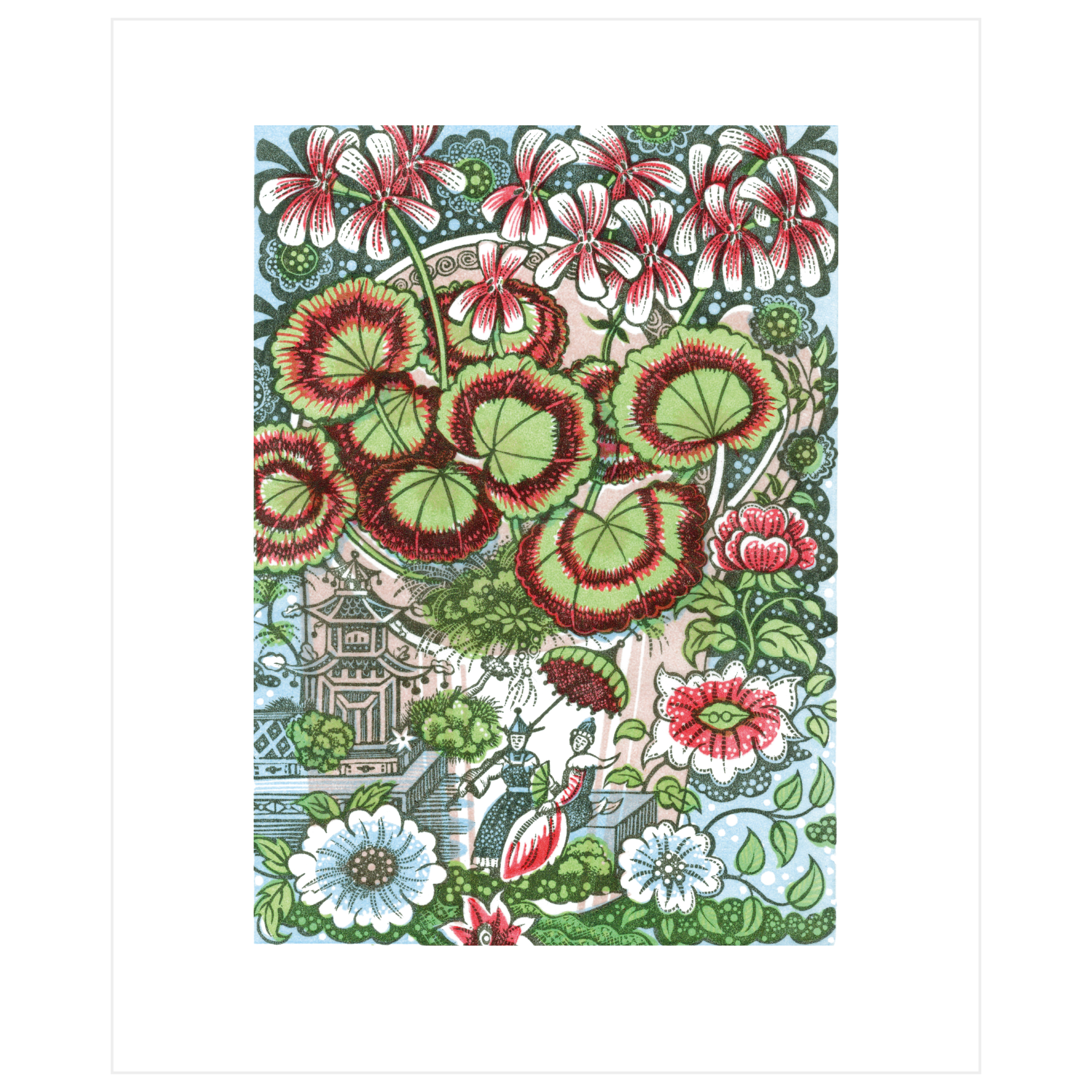 Pelargonium