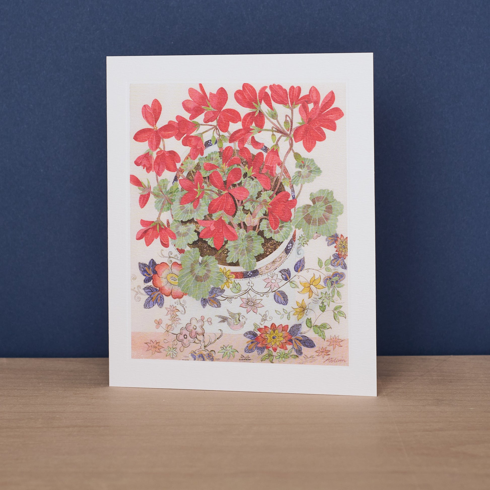 Pelargonium In Floral  Cup