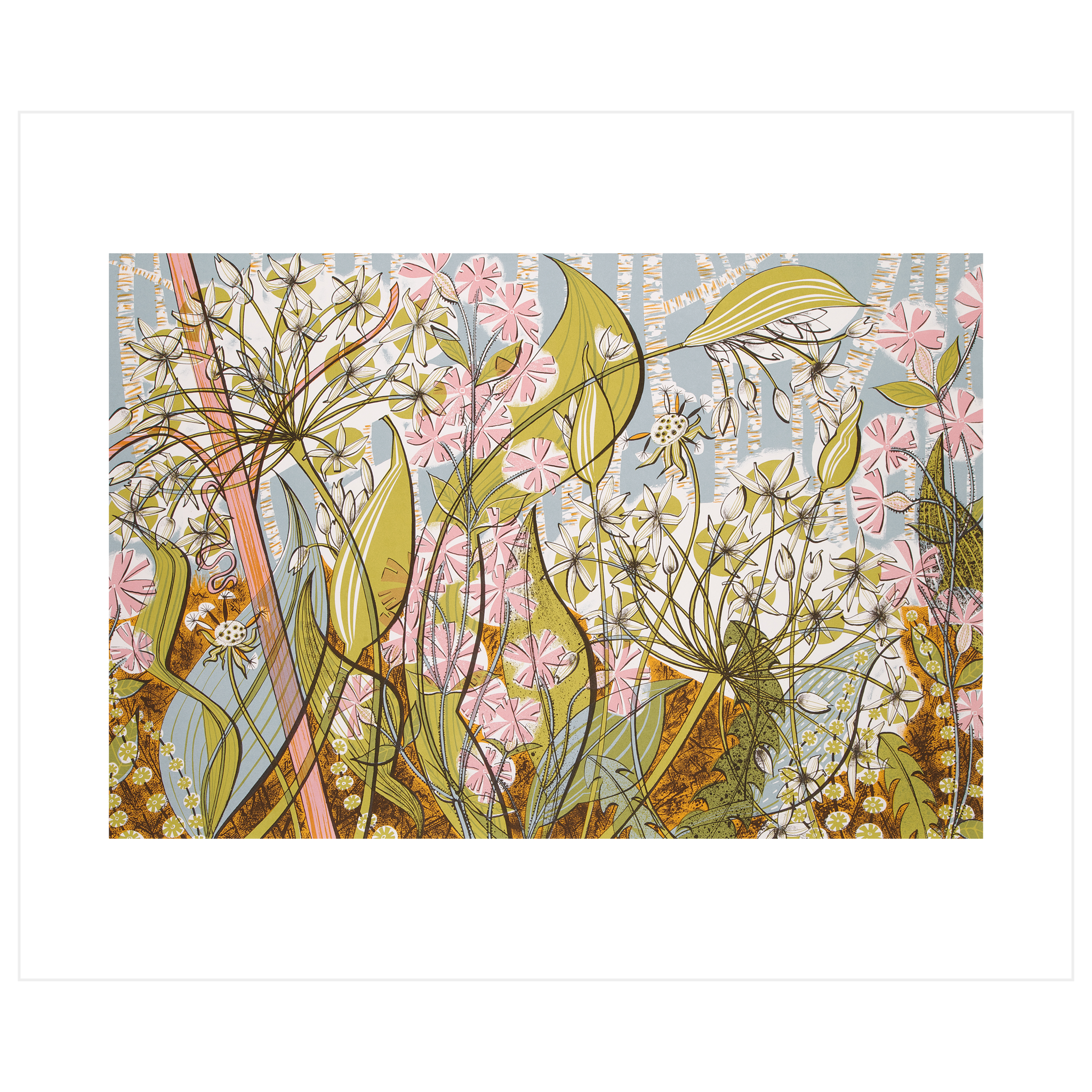 Ramsons and Campion