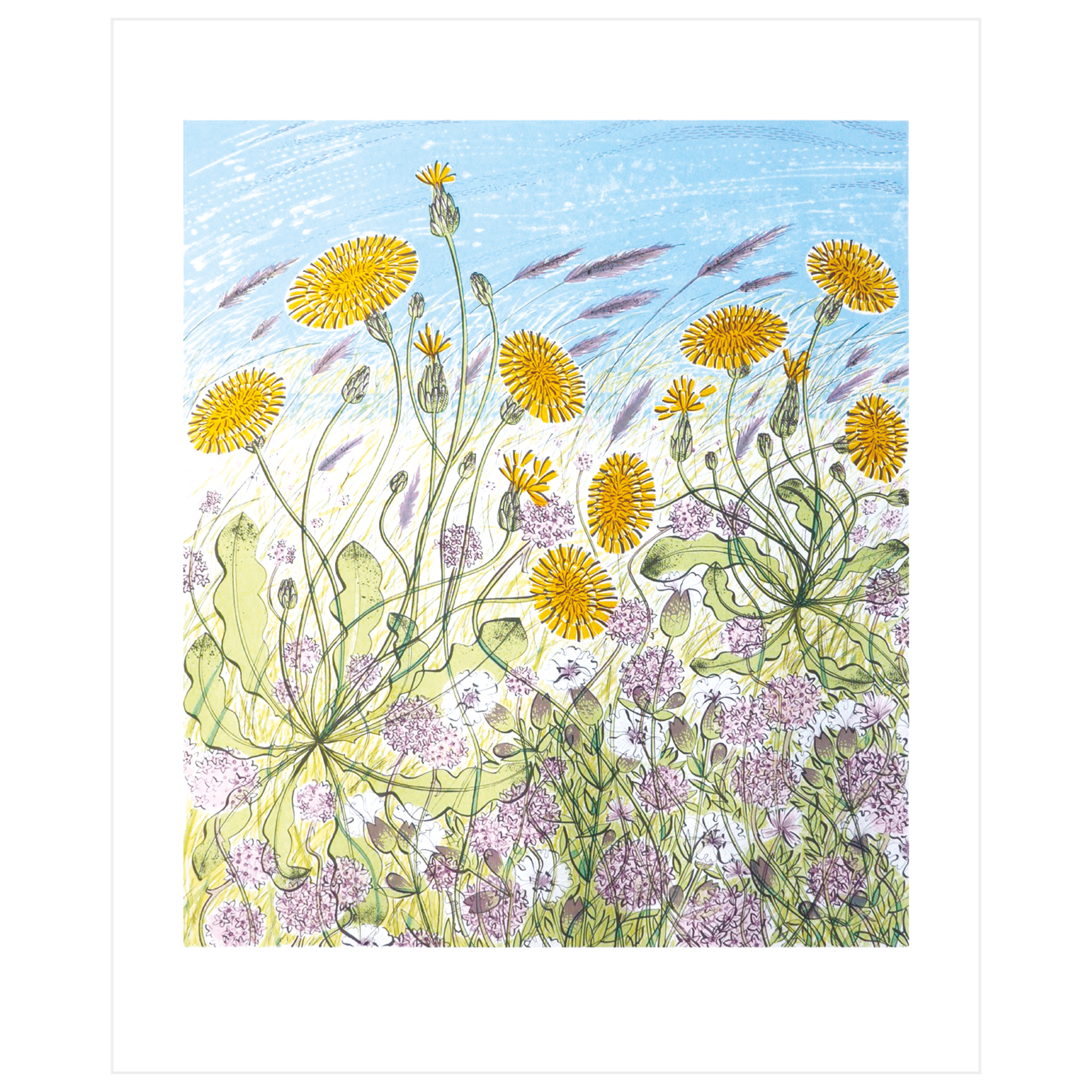Saltmarsh, Morston