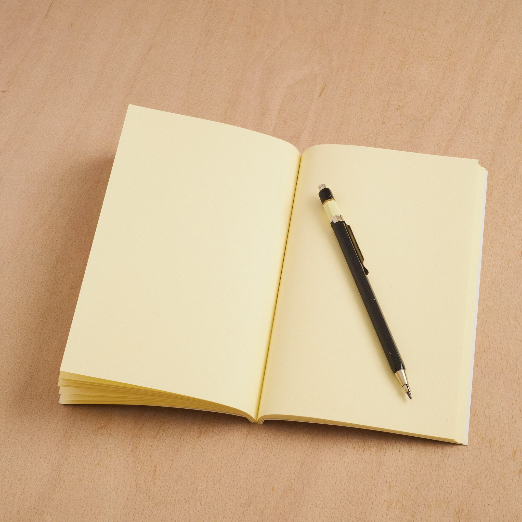 Sandler Mug  and Tulips Notebook