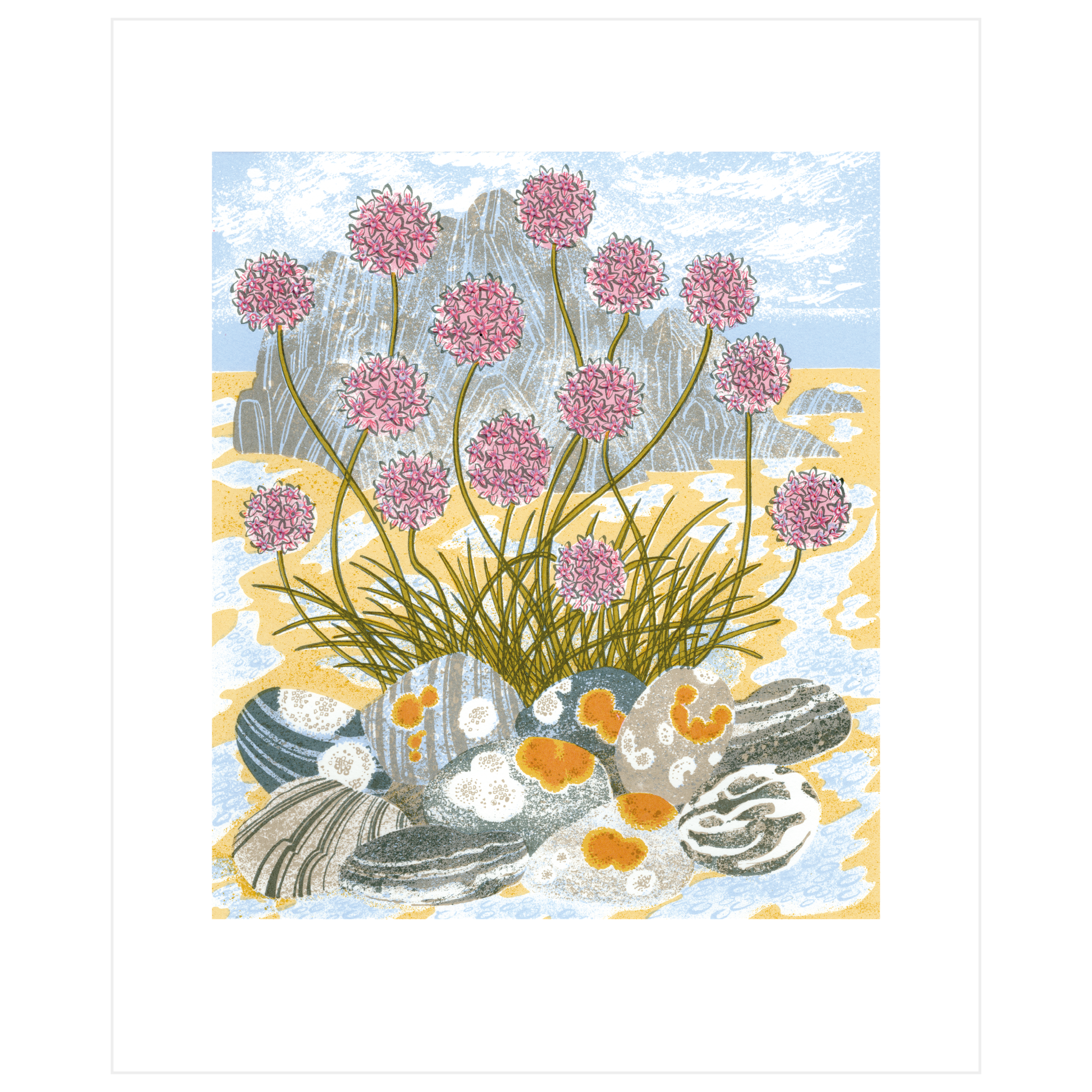 Sea Pinks and Pebbles