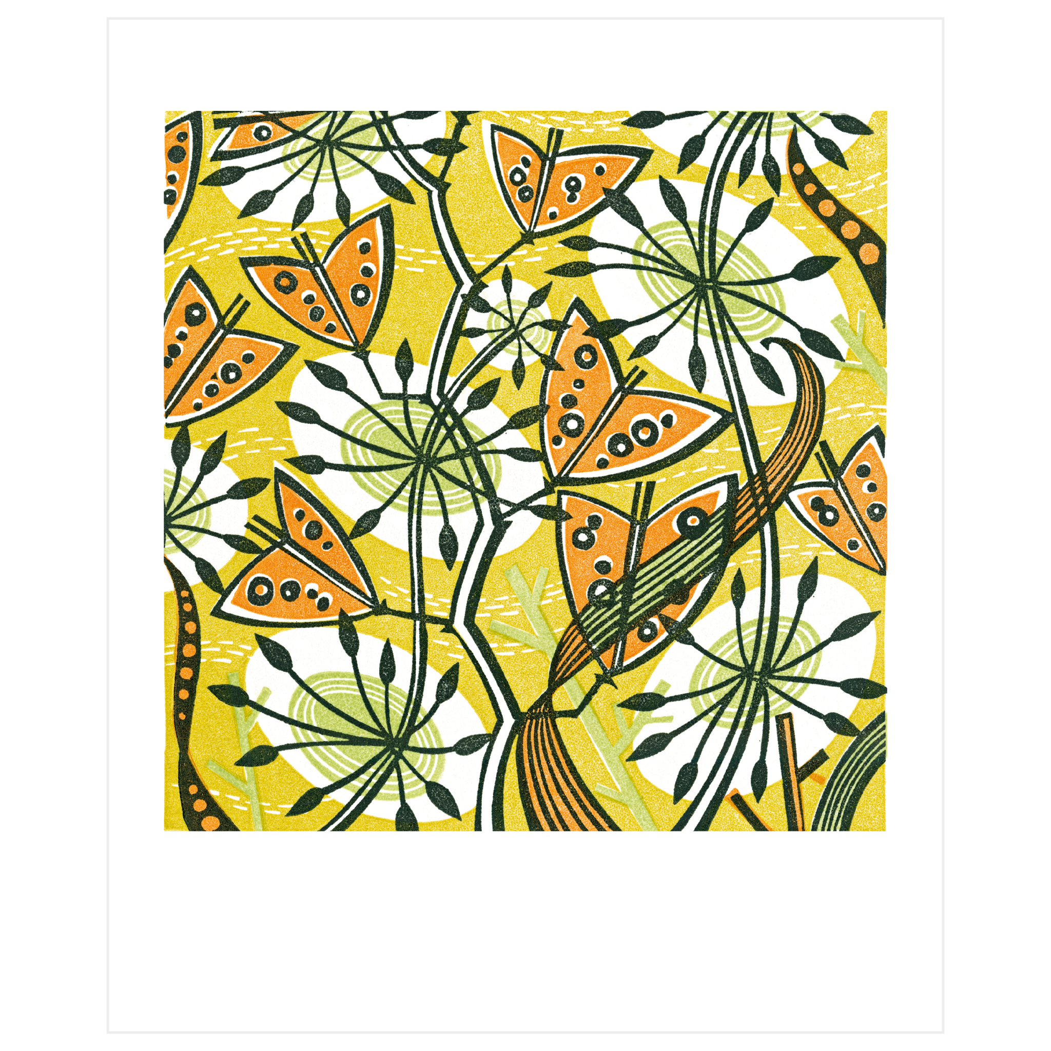 Shepherd's Purse