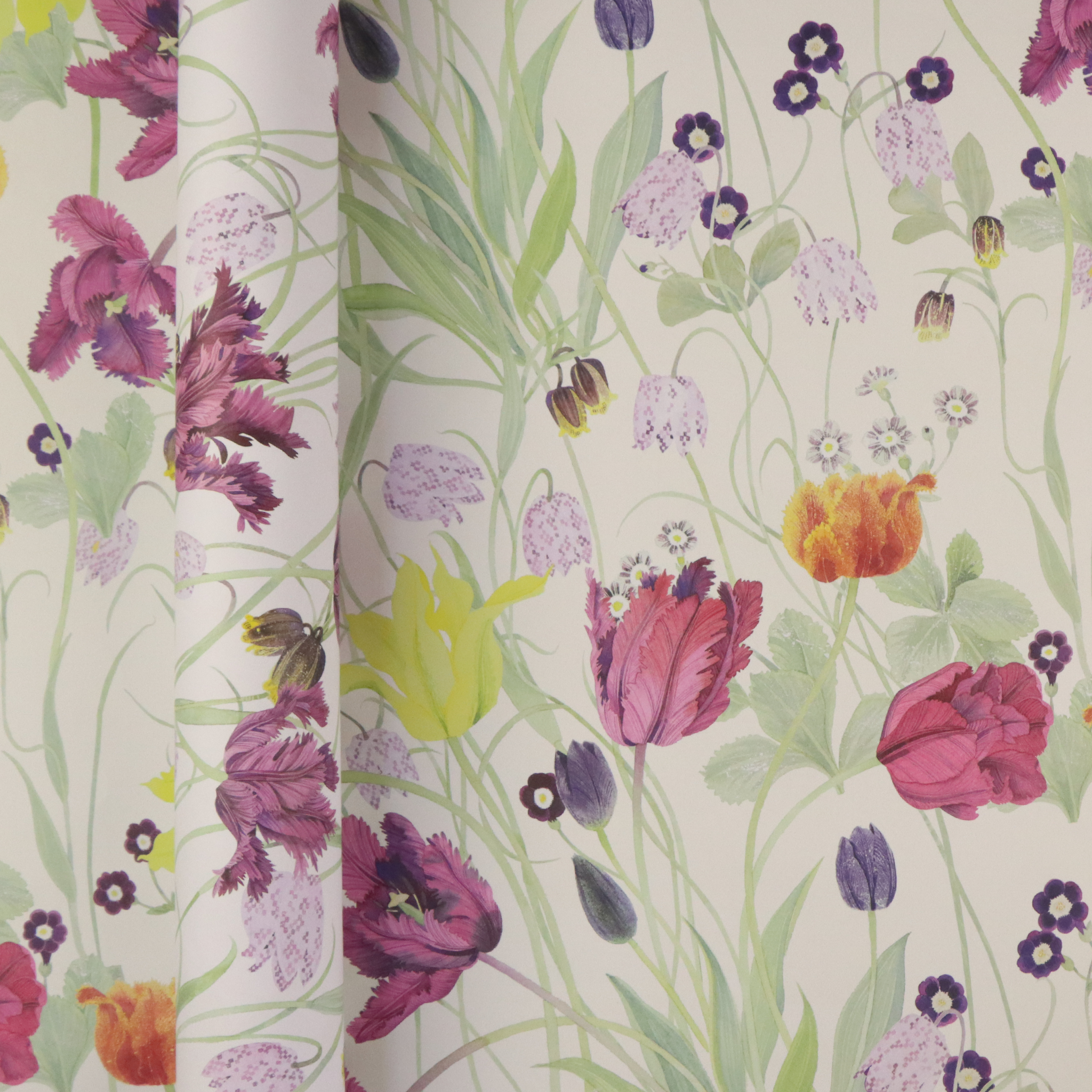 Spring Flowers