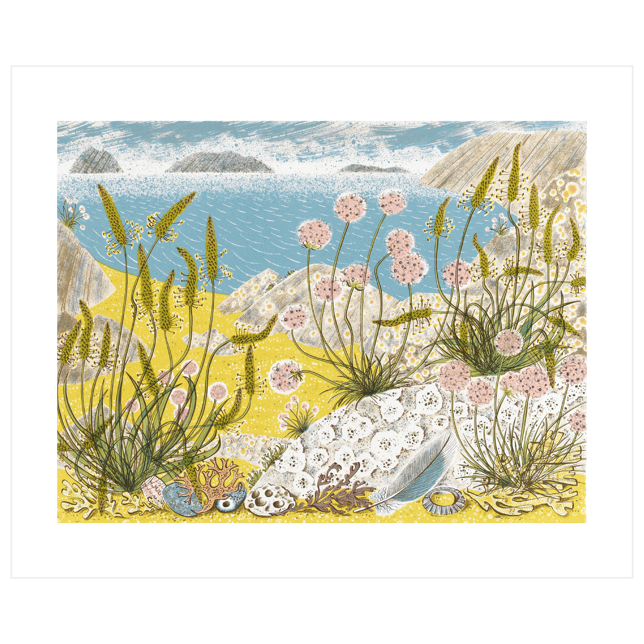 Summer Shore