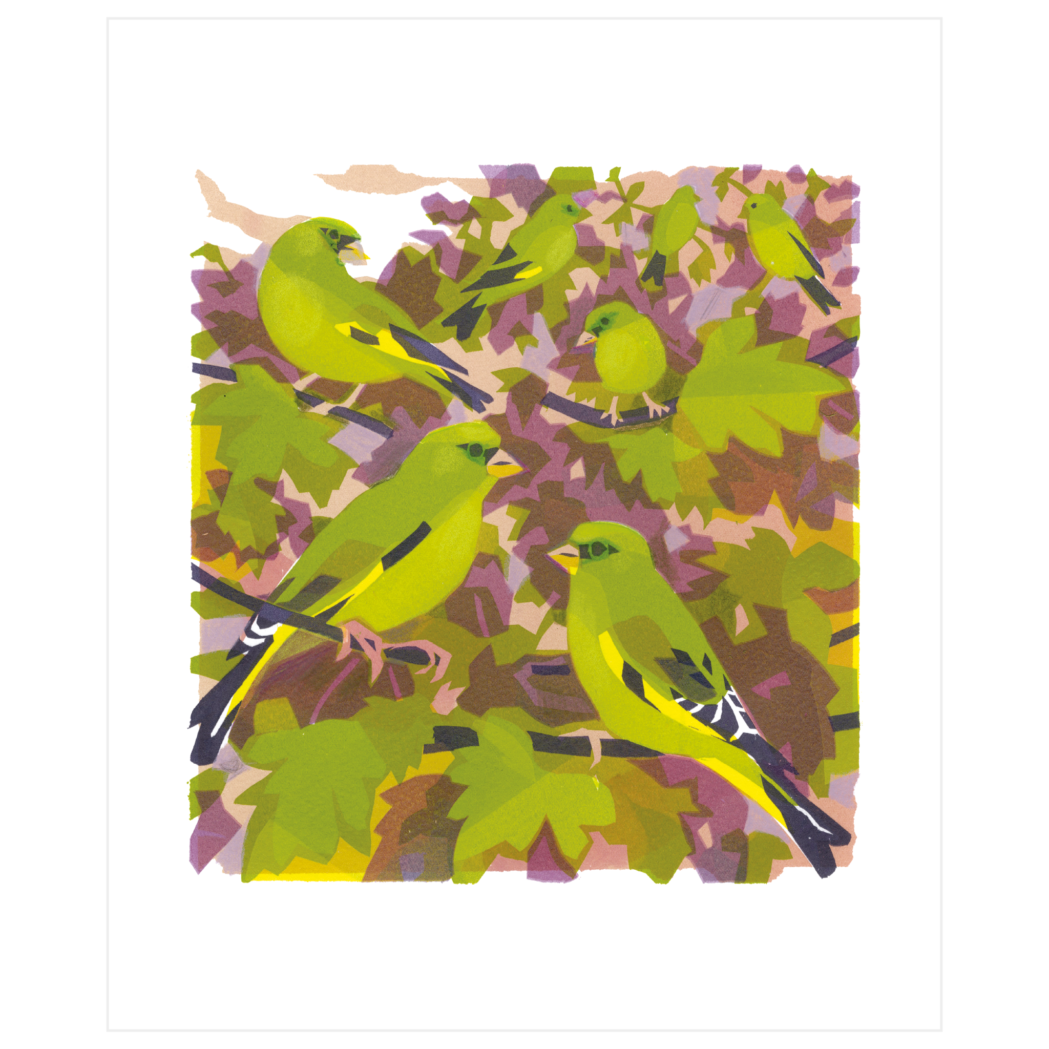 Greenfinches