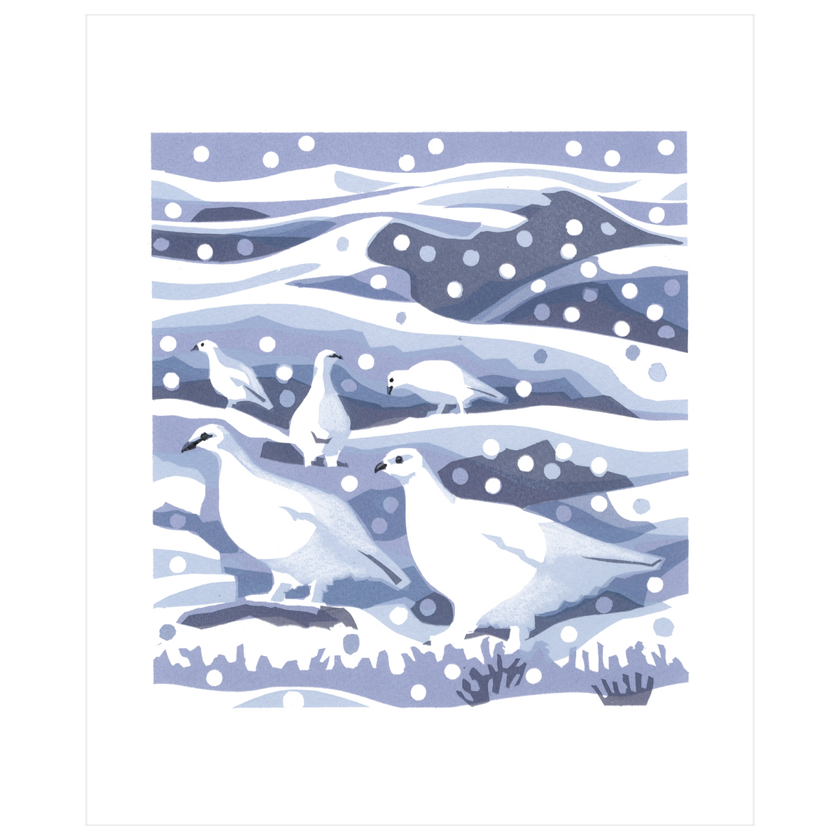 Ptarmigan
