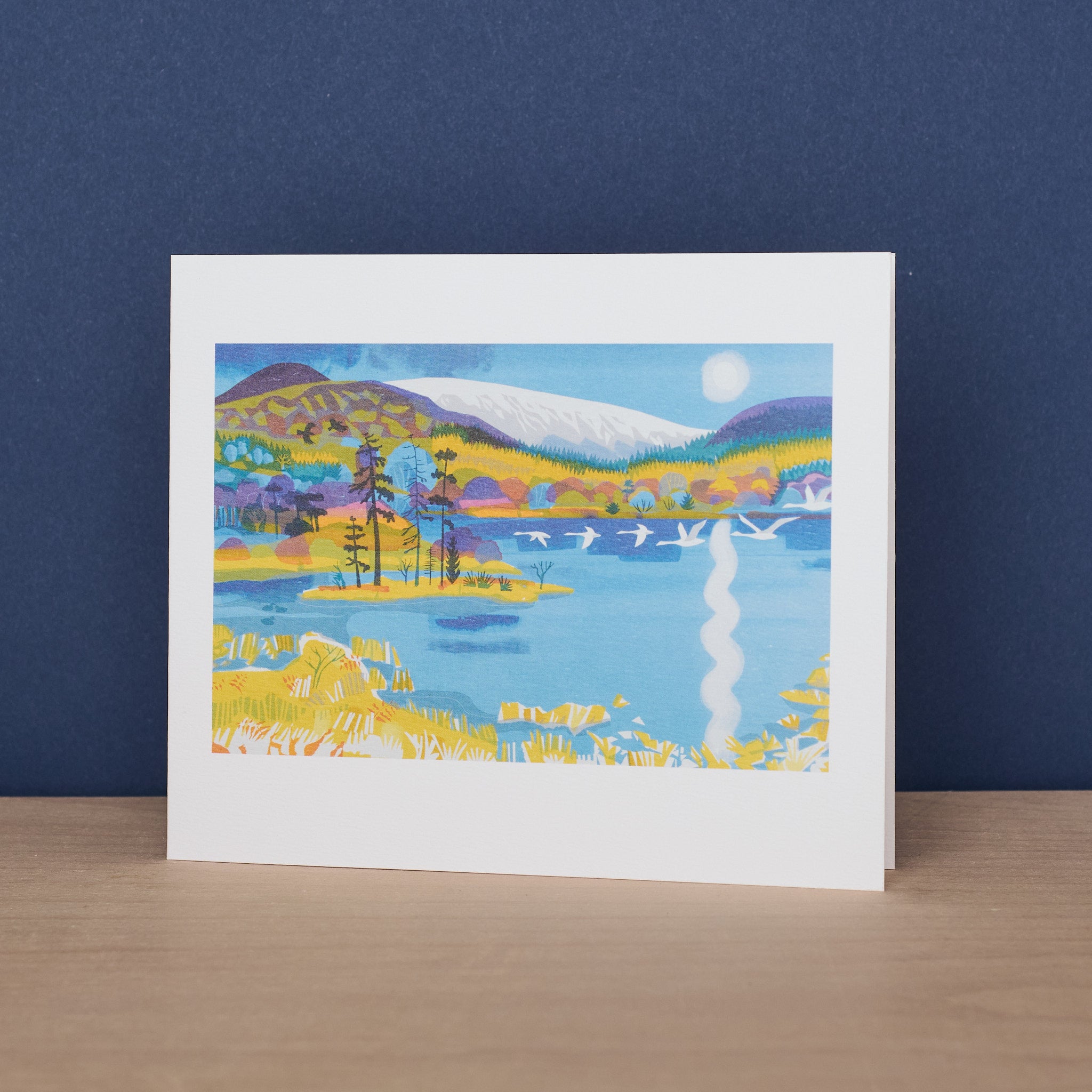 Swans Return to the Loch