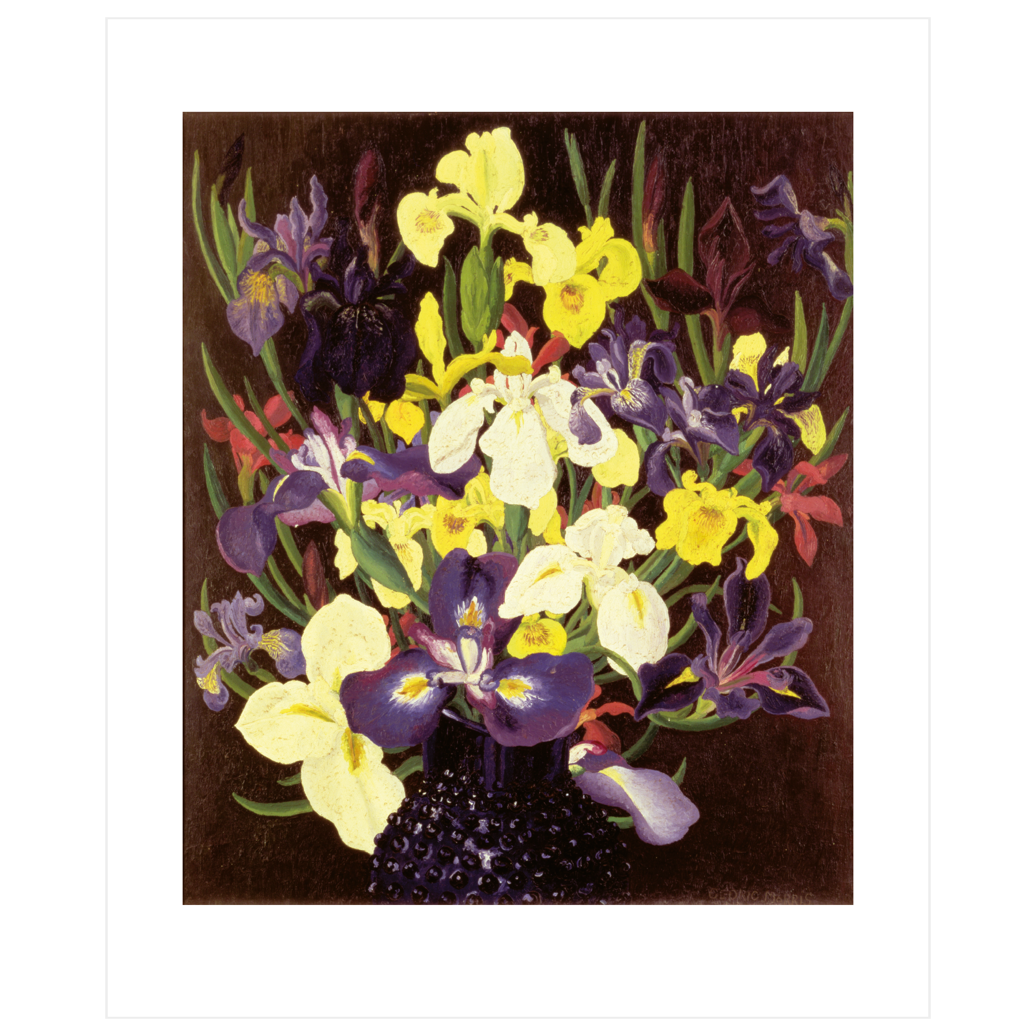Group Of Irises