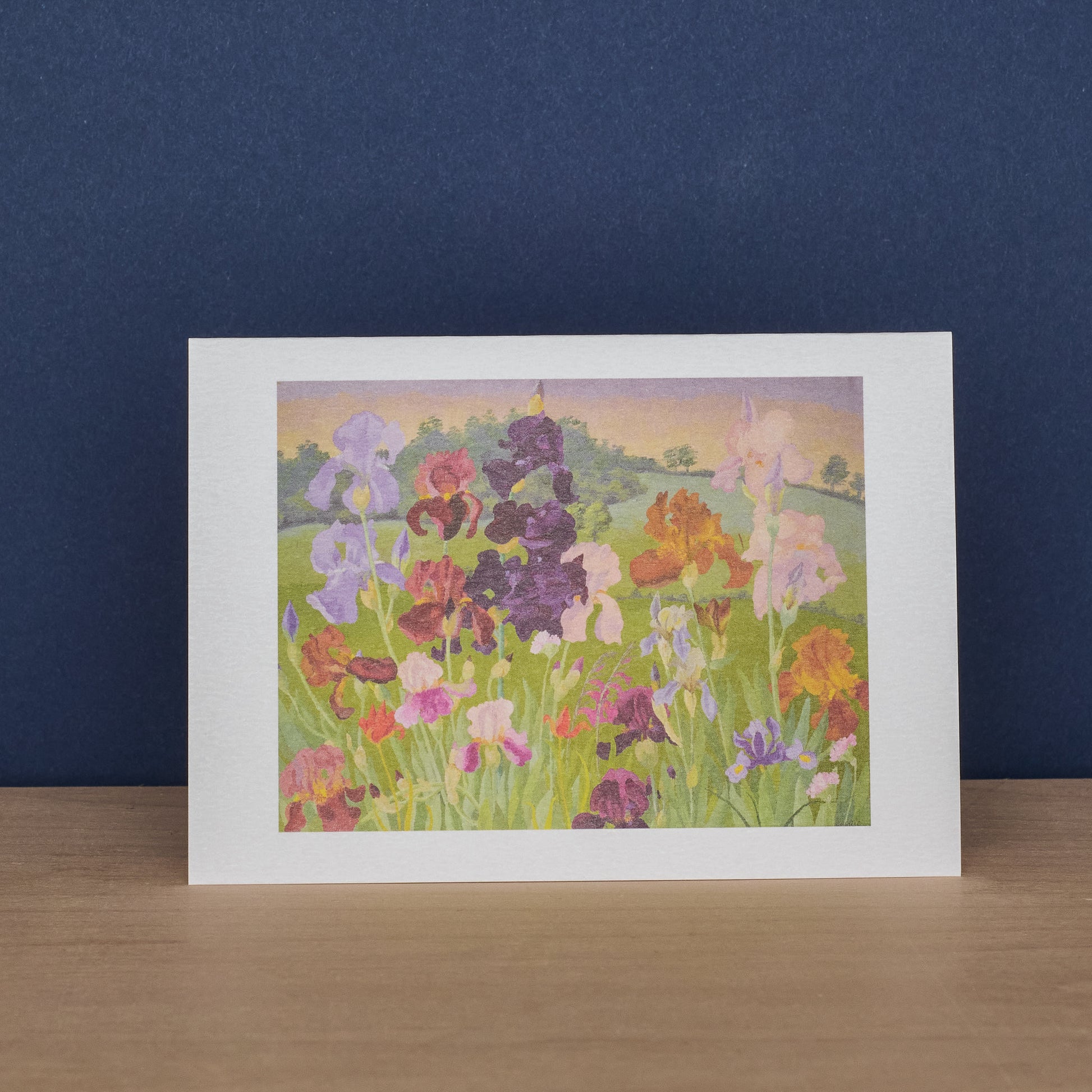 Irises and Several Inventions