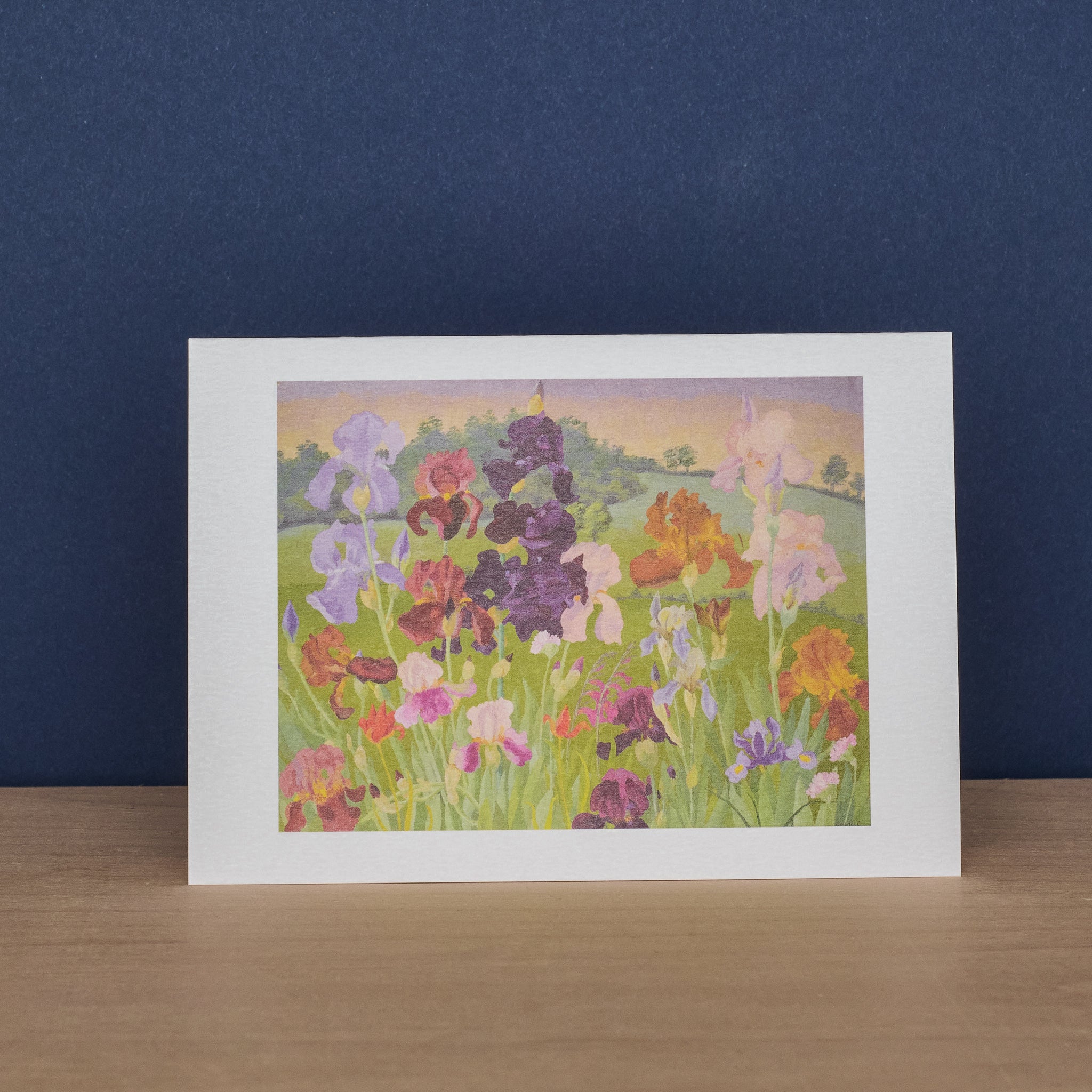 Irises and Several Inventions