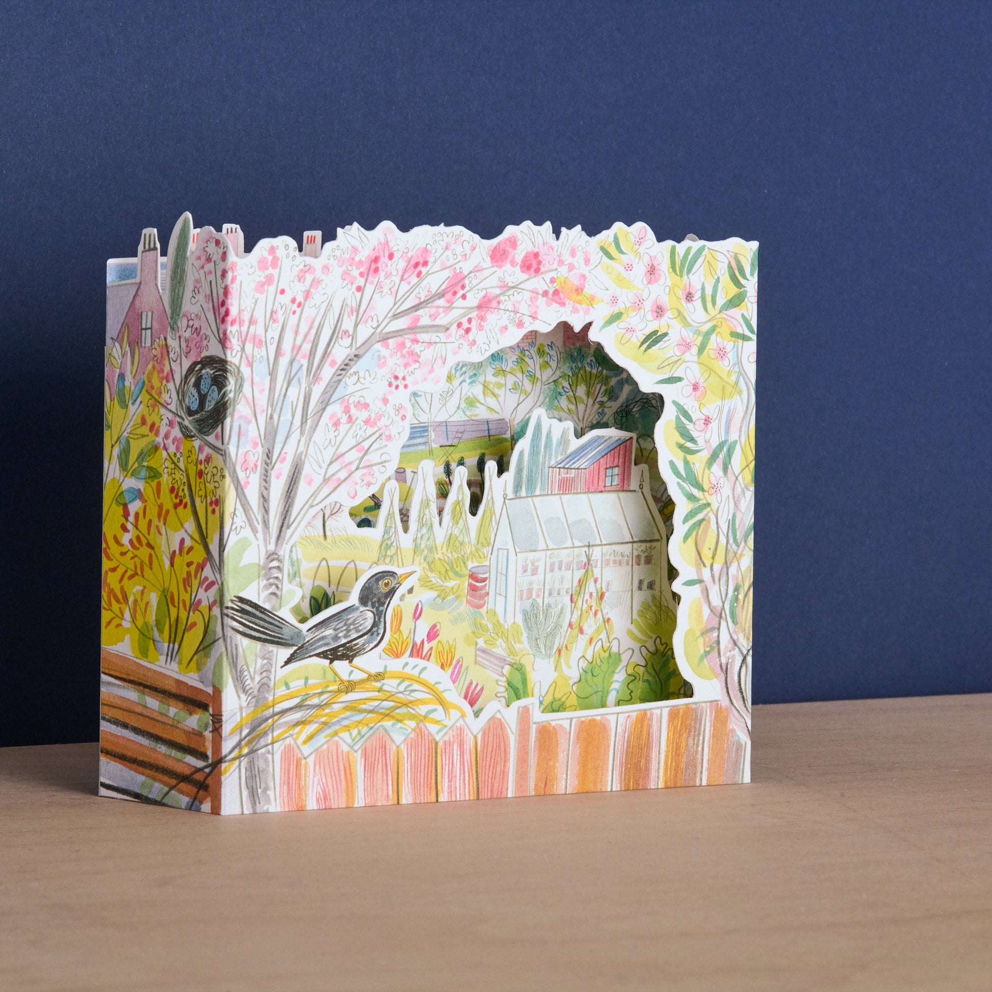 Blackbird  Allotment