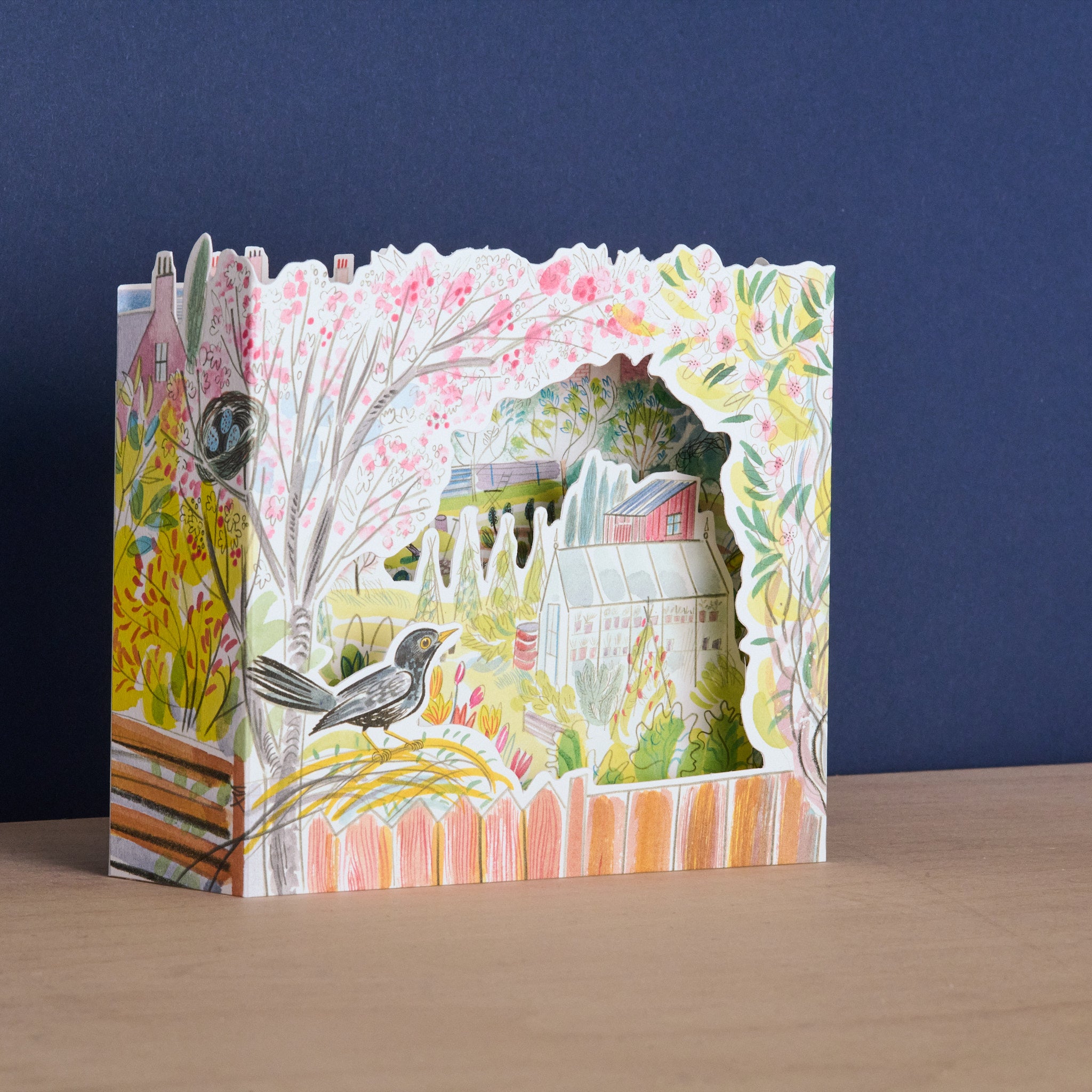 Blackbird  Allotment