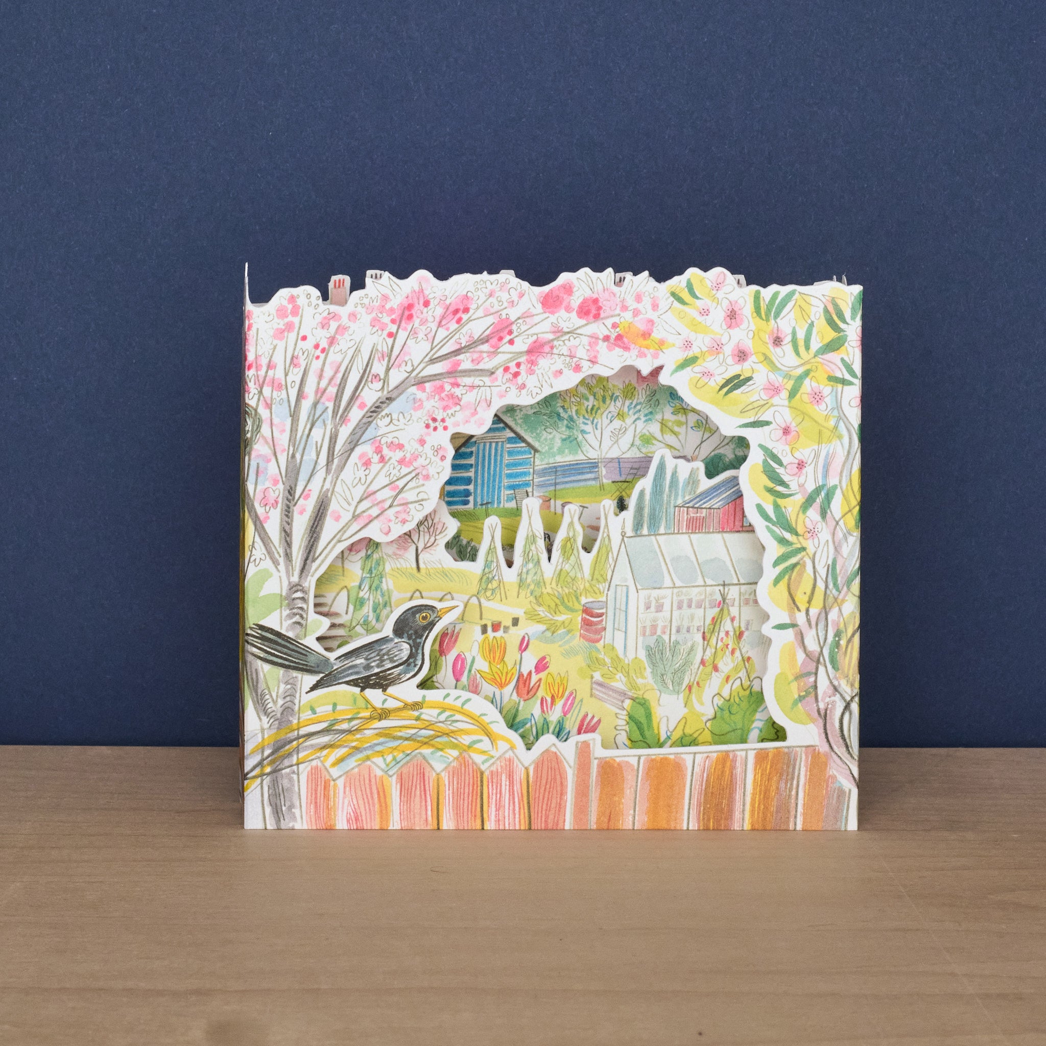 Blackbird  Allotment