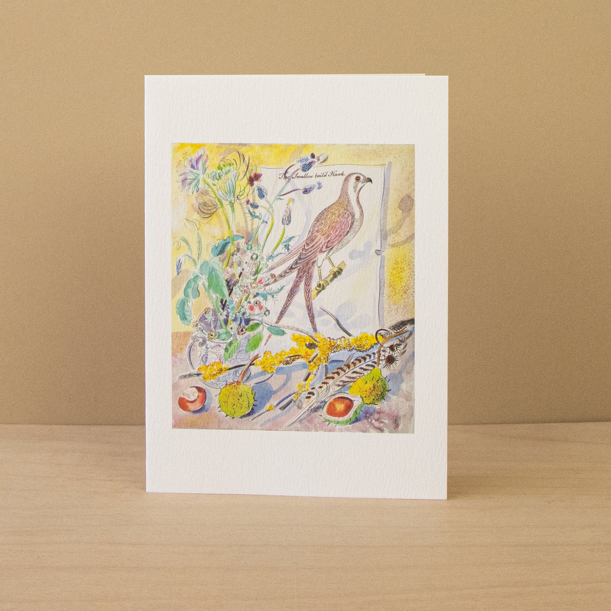 Swallow Tail'd Hawk & The Painted Finch