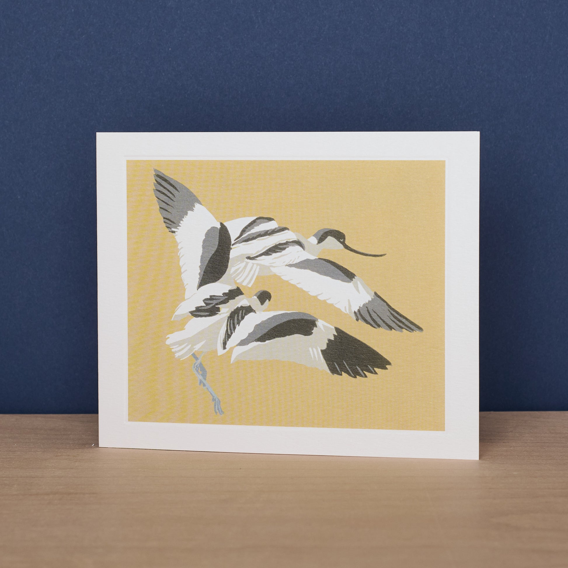 Avocets Chase
