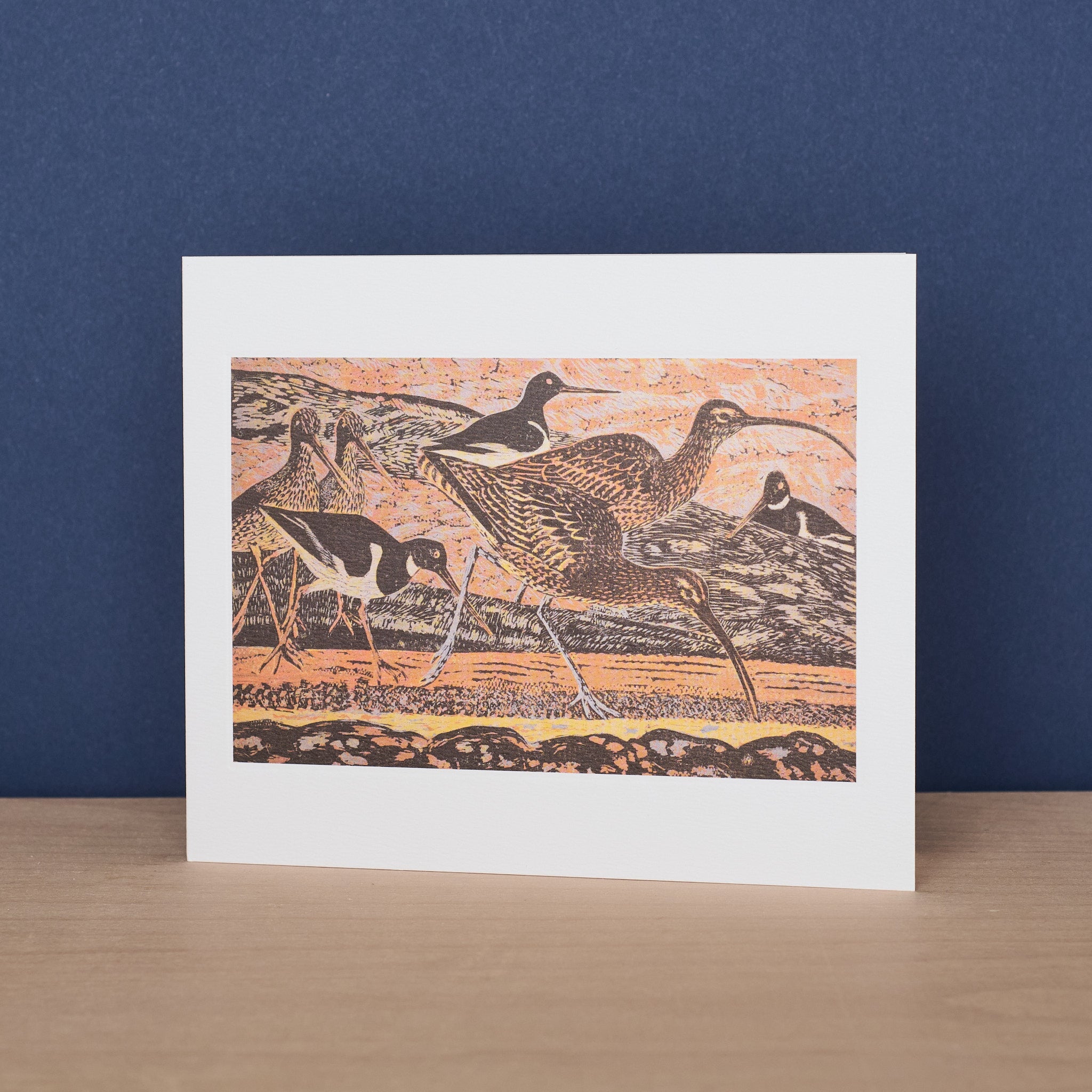 Curlew and Oystercatchers