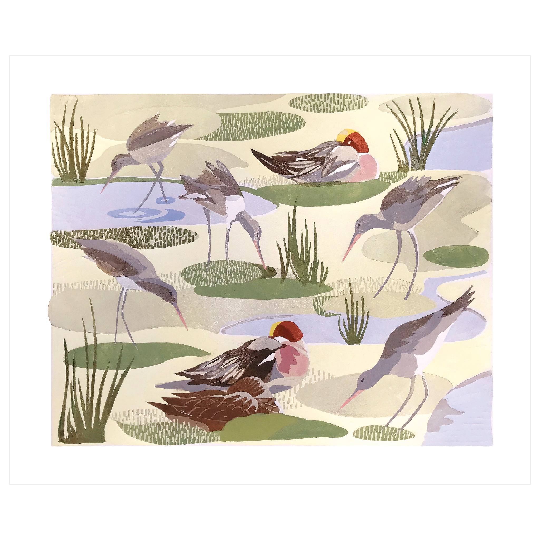 Godwits and Wigeon
