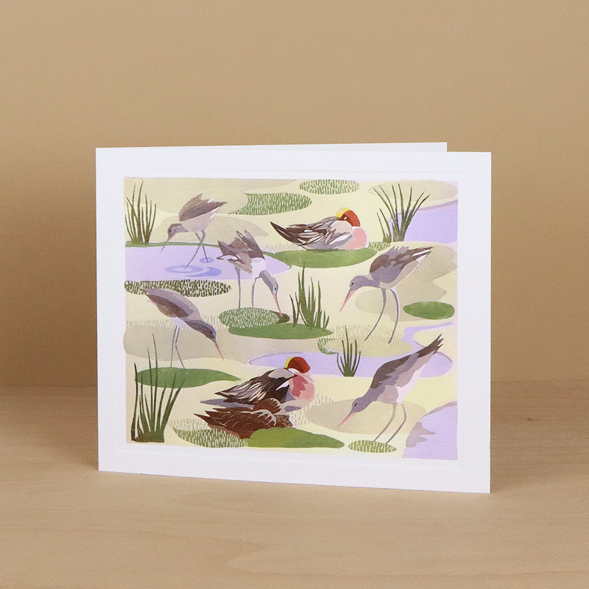 Godwits and Wigeon