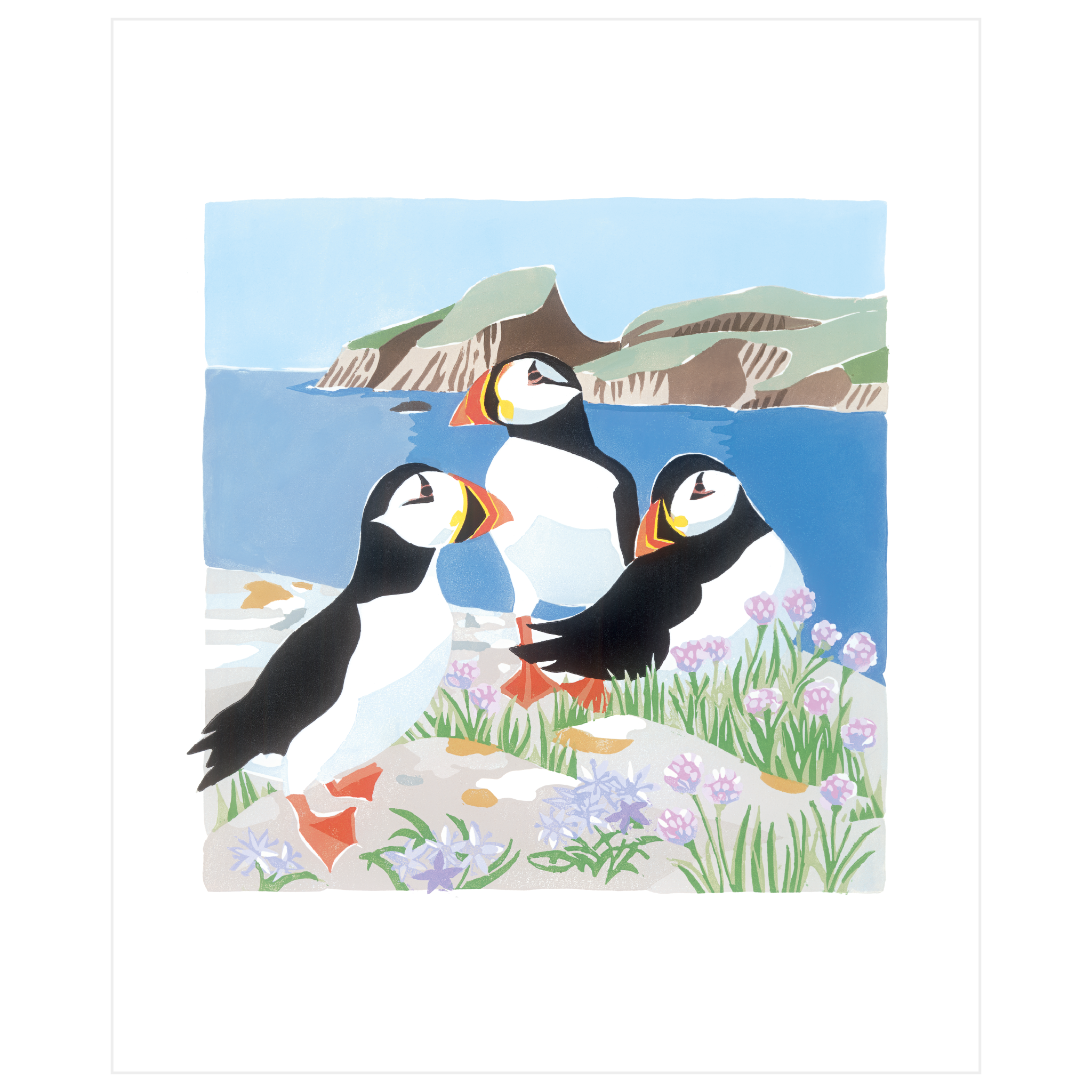 Puffins and Sheep Rock, Fair Isle