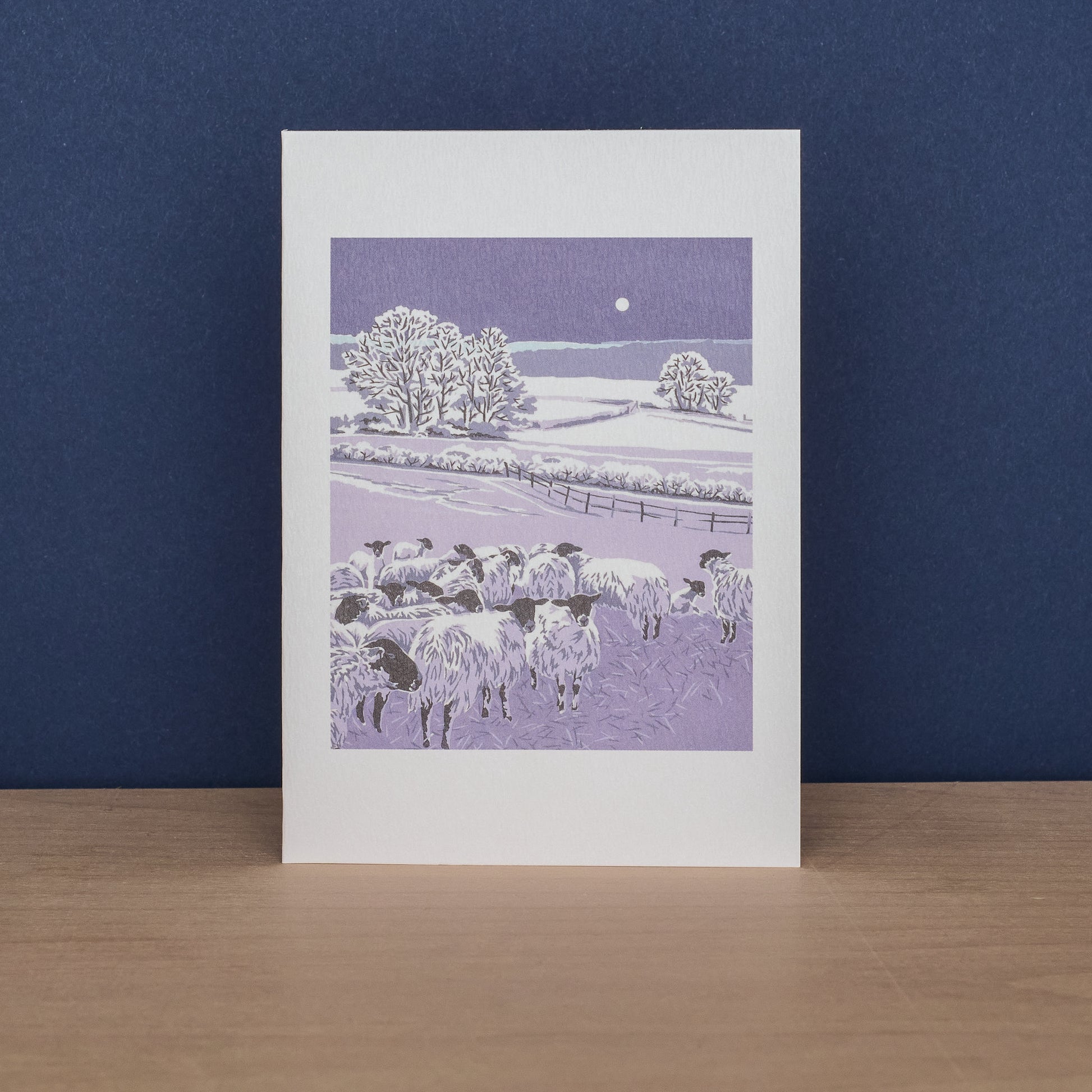 Beach KIngs and Flocks