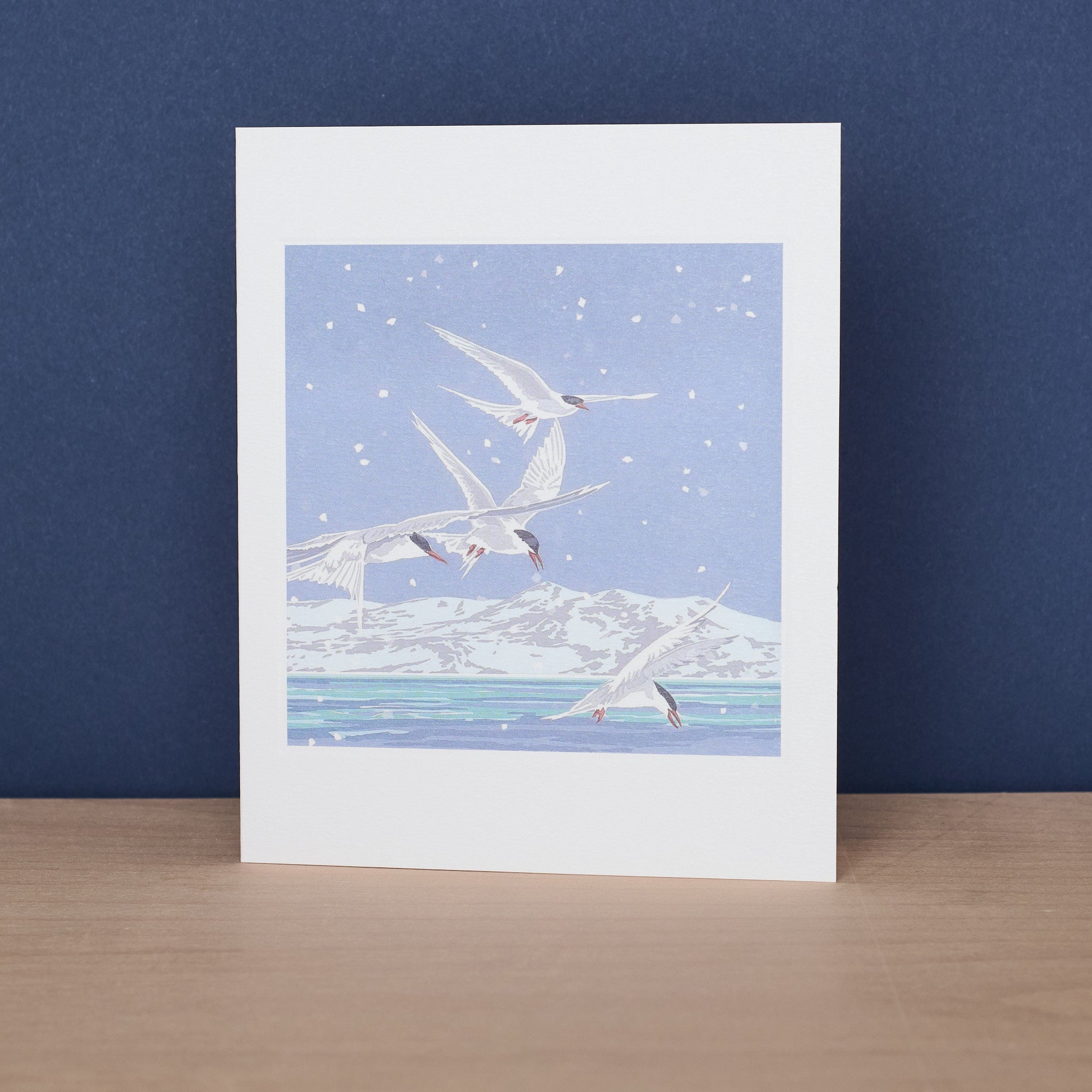 Snowy Terns